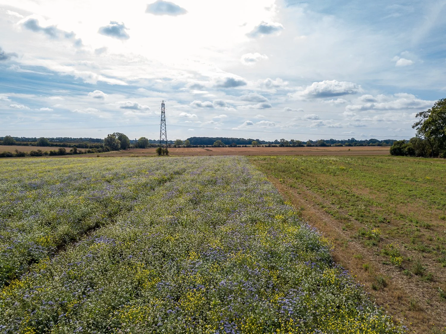 DJI_0194.jpg