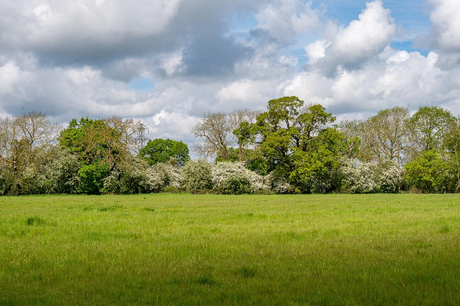 DSC_1151.jpg