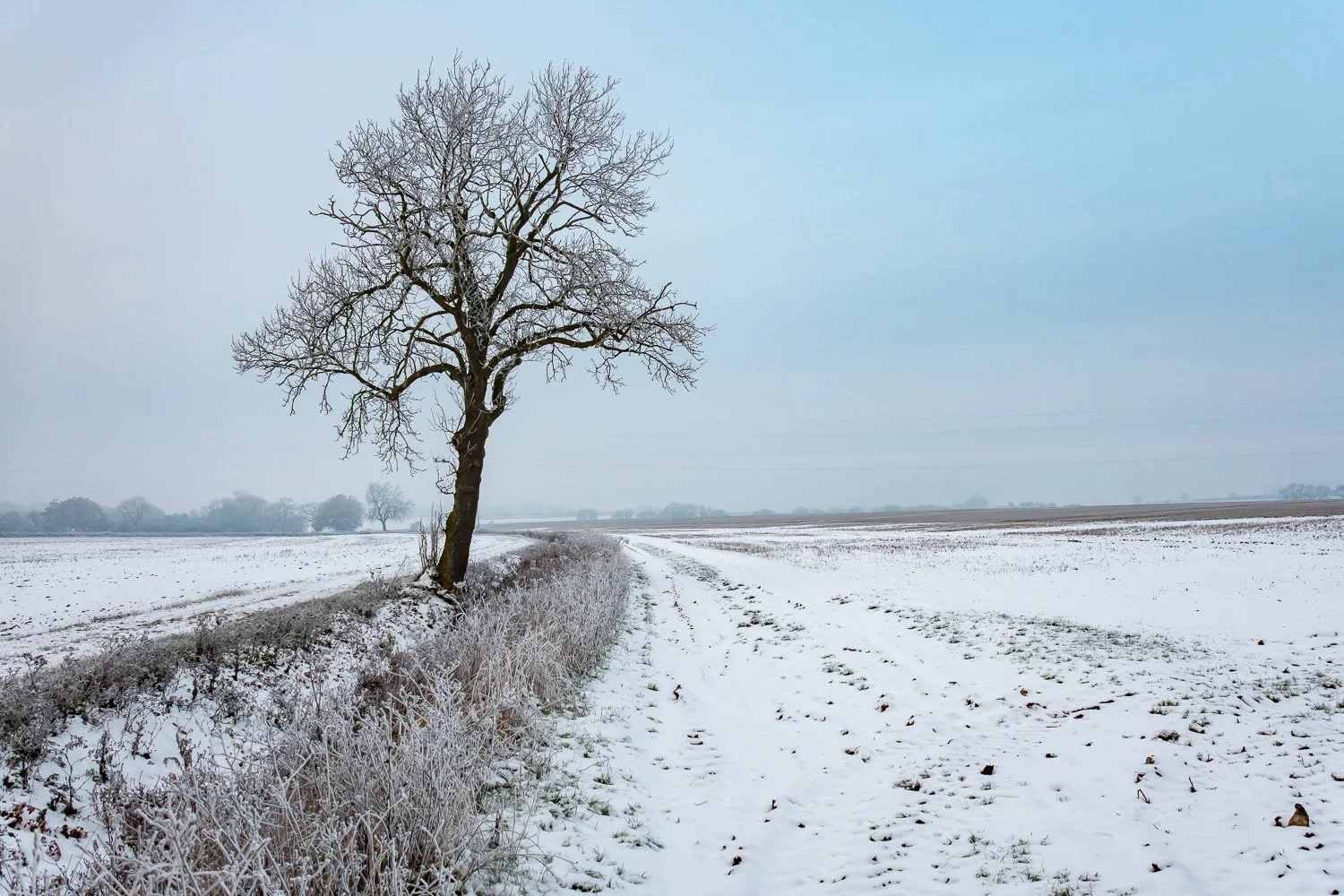 JAN_2120.jpg
