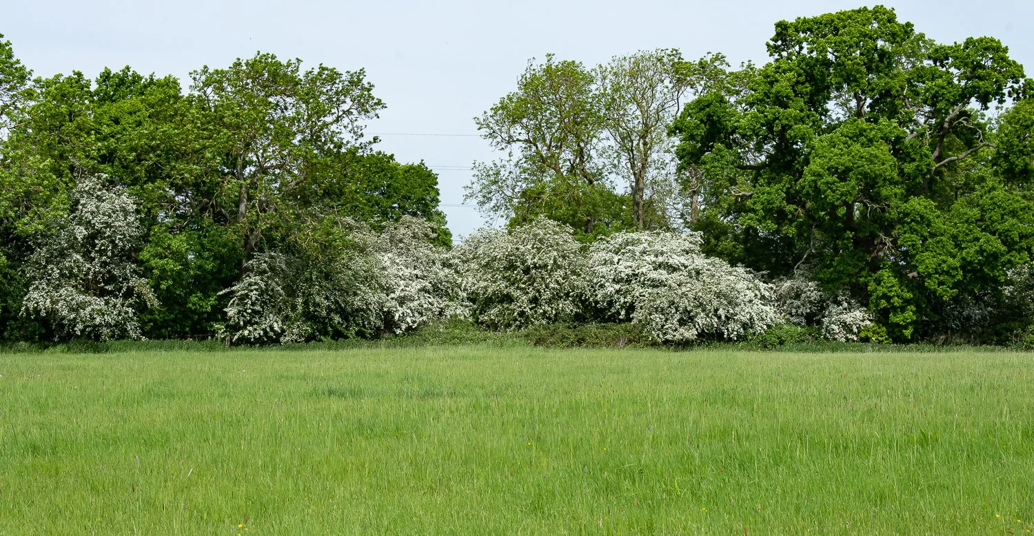 PD2_9221.jpg