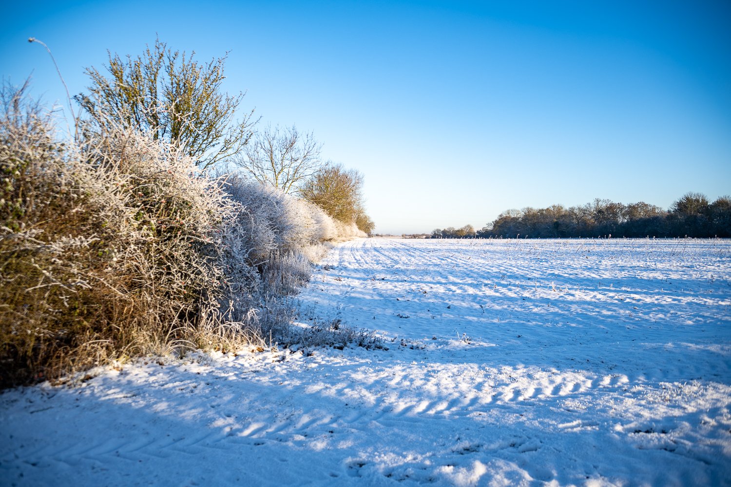 PD7_0882.jpg