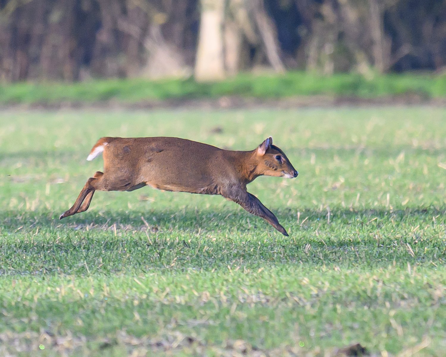 DSC_6079.jpg