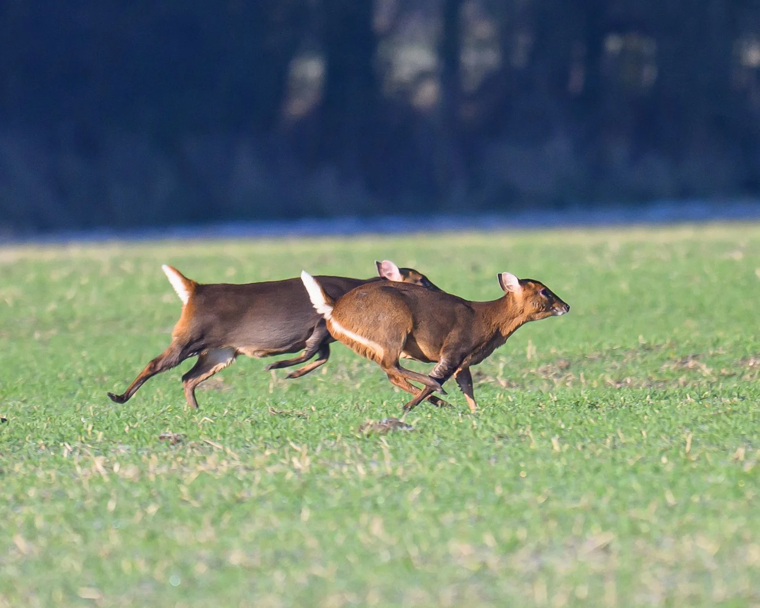 DSC_6098.jpg
