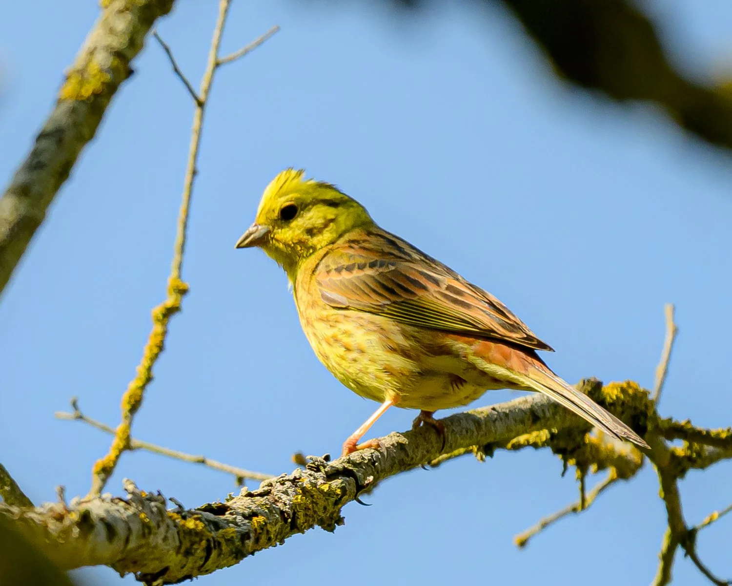 PZ8_1439.jpg