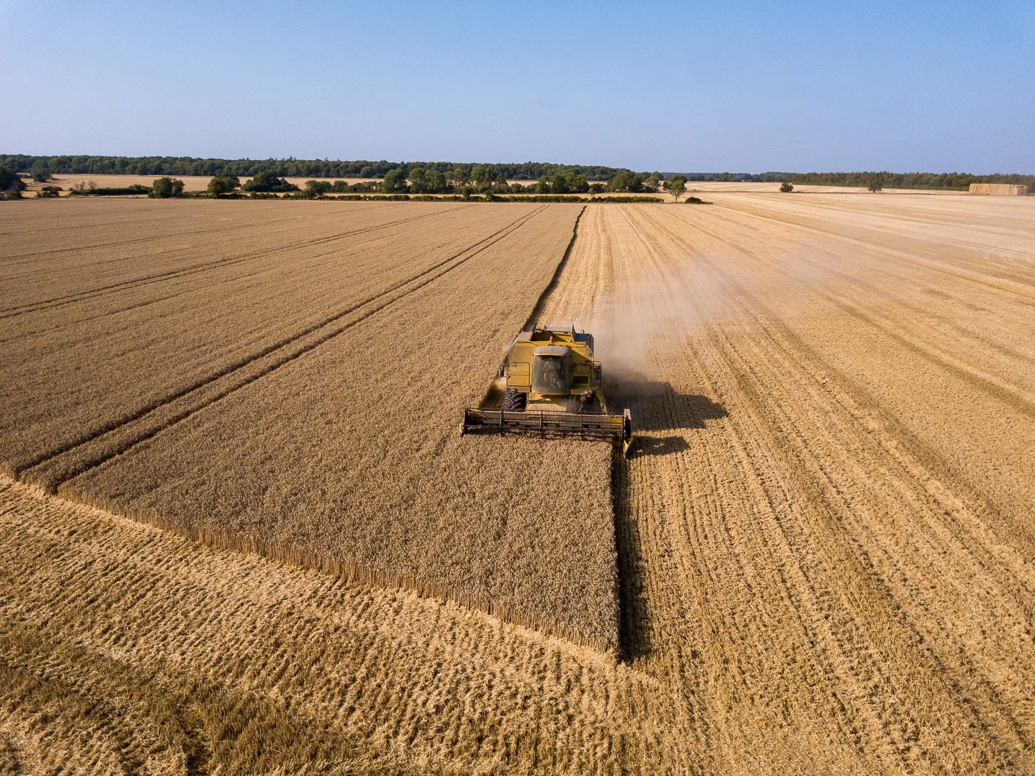 DJI_0004-2.jpg