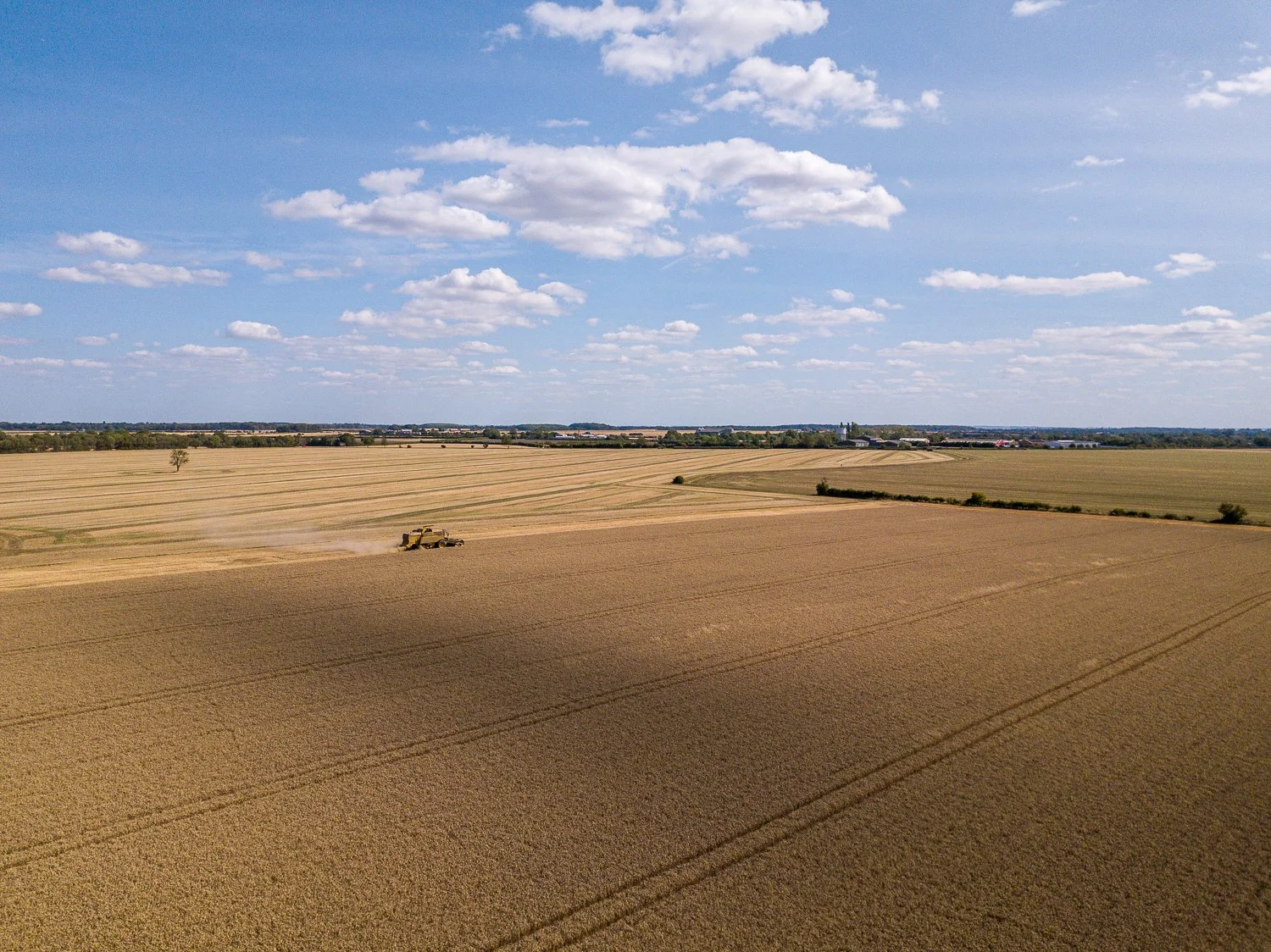 DJI_0008.jpg