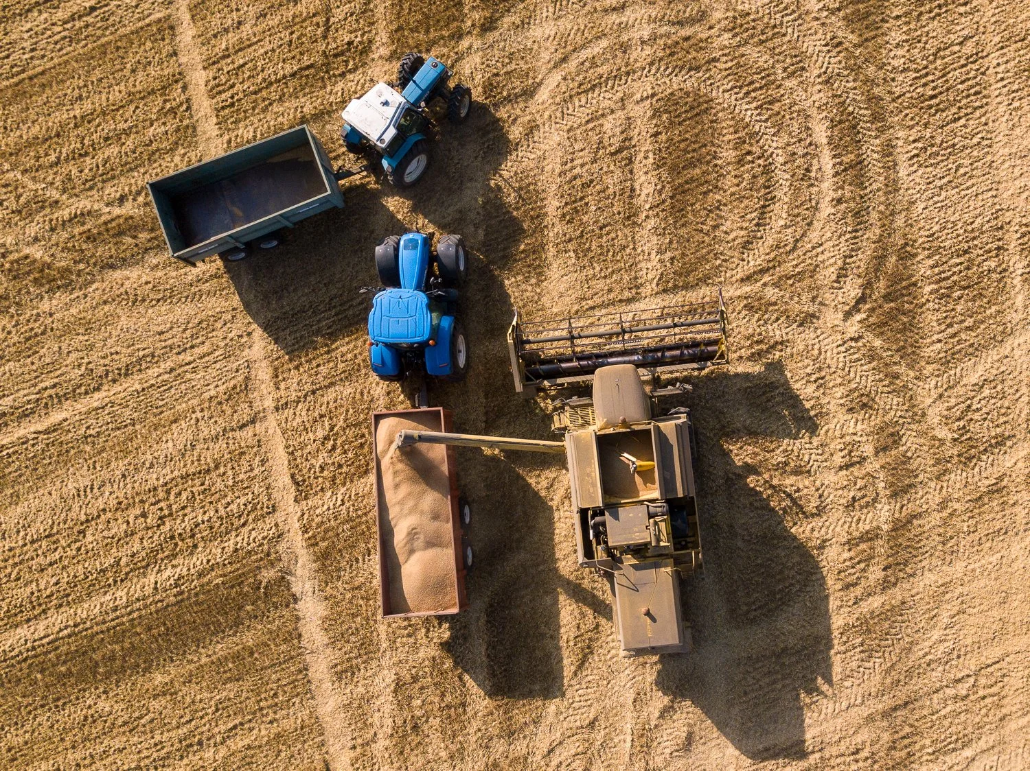 DJI_0009-2.jpg