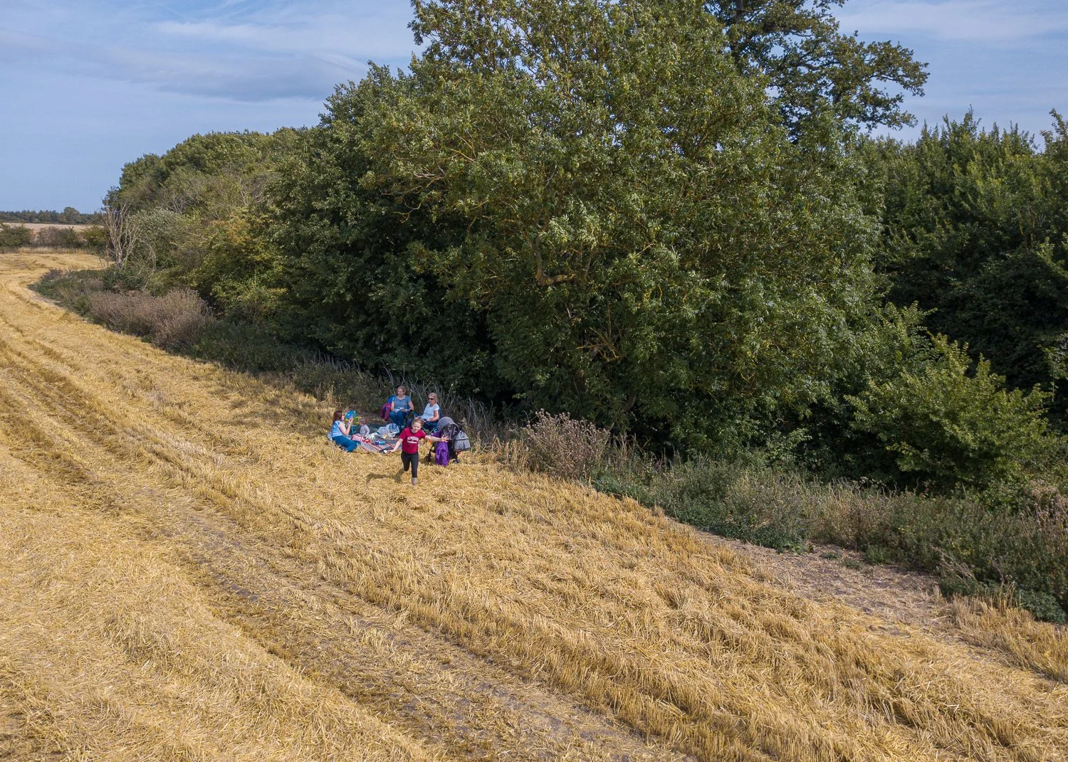 DJI_0010.jpg