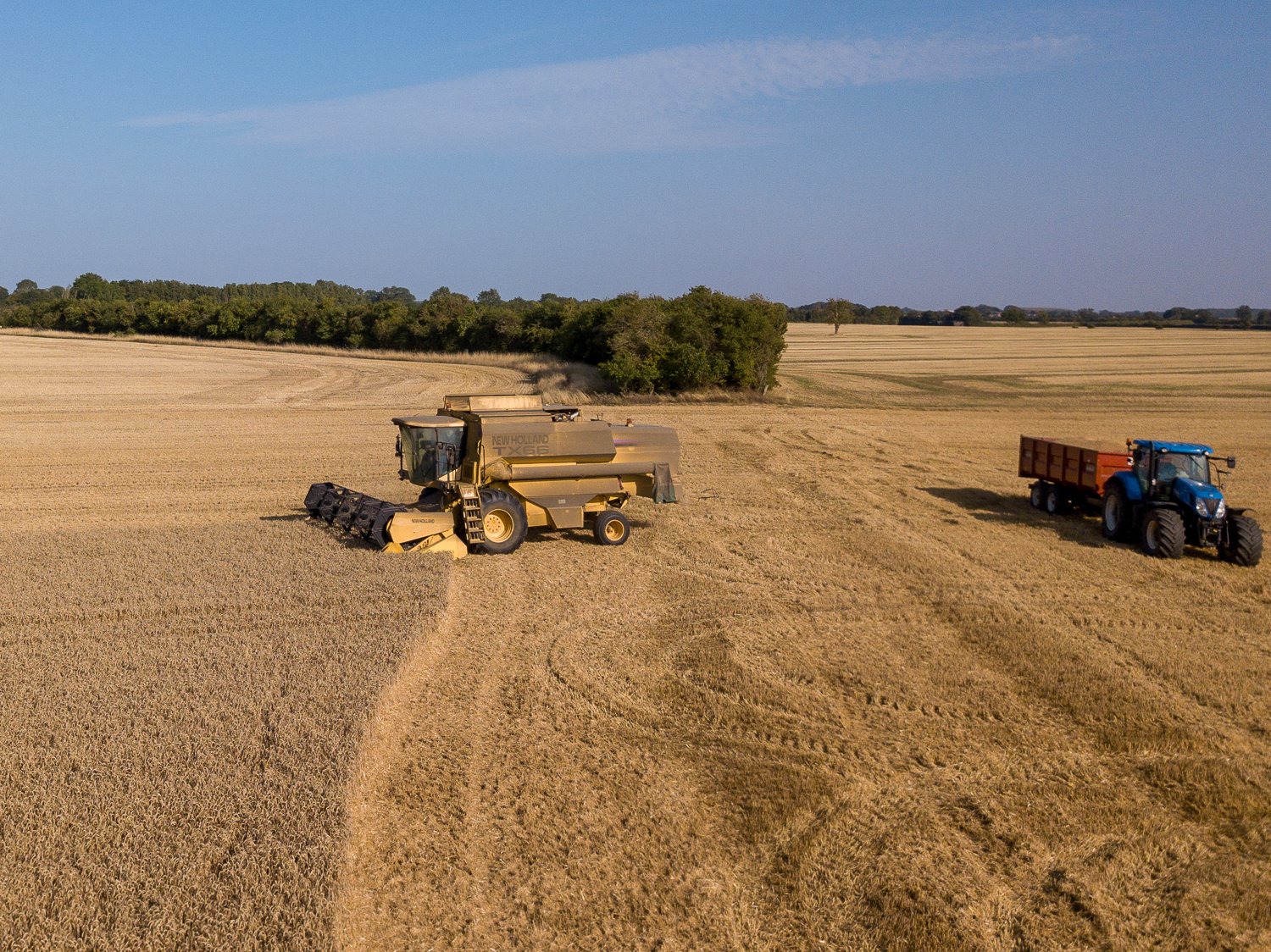 DJI_0015-2.jpg