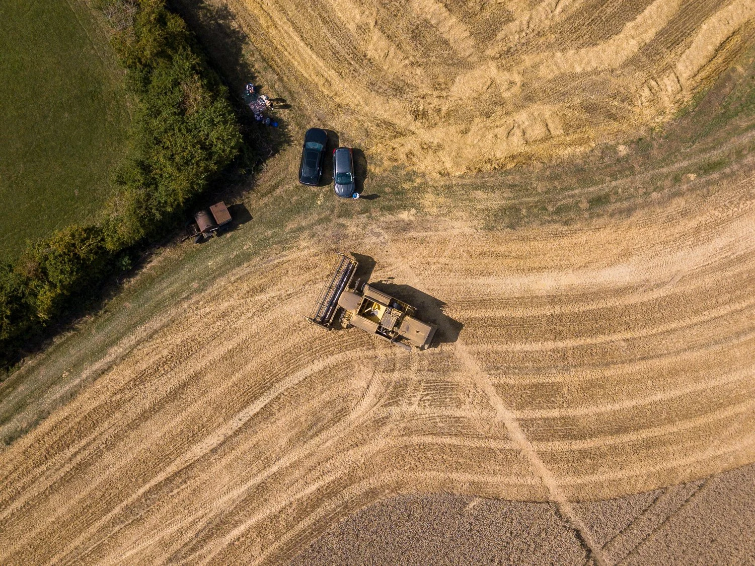 DJI_0017.jpg