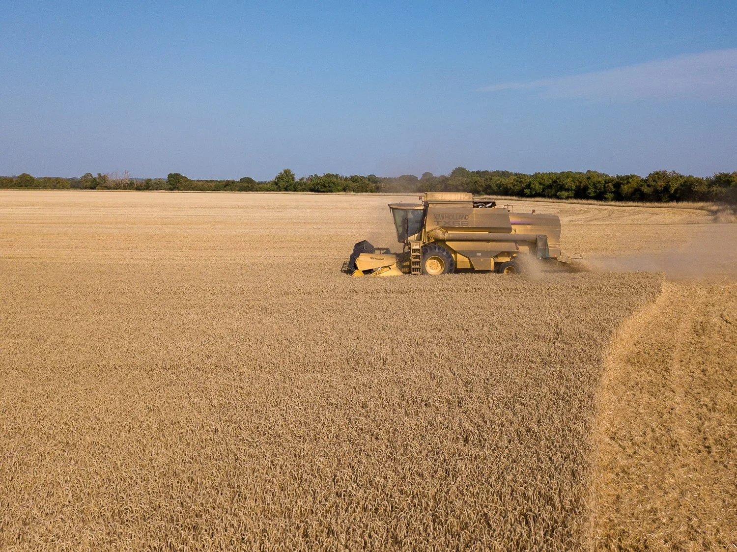 DJI_0019.jpg