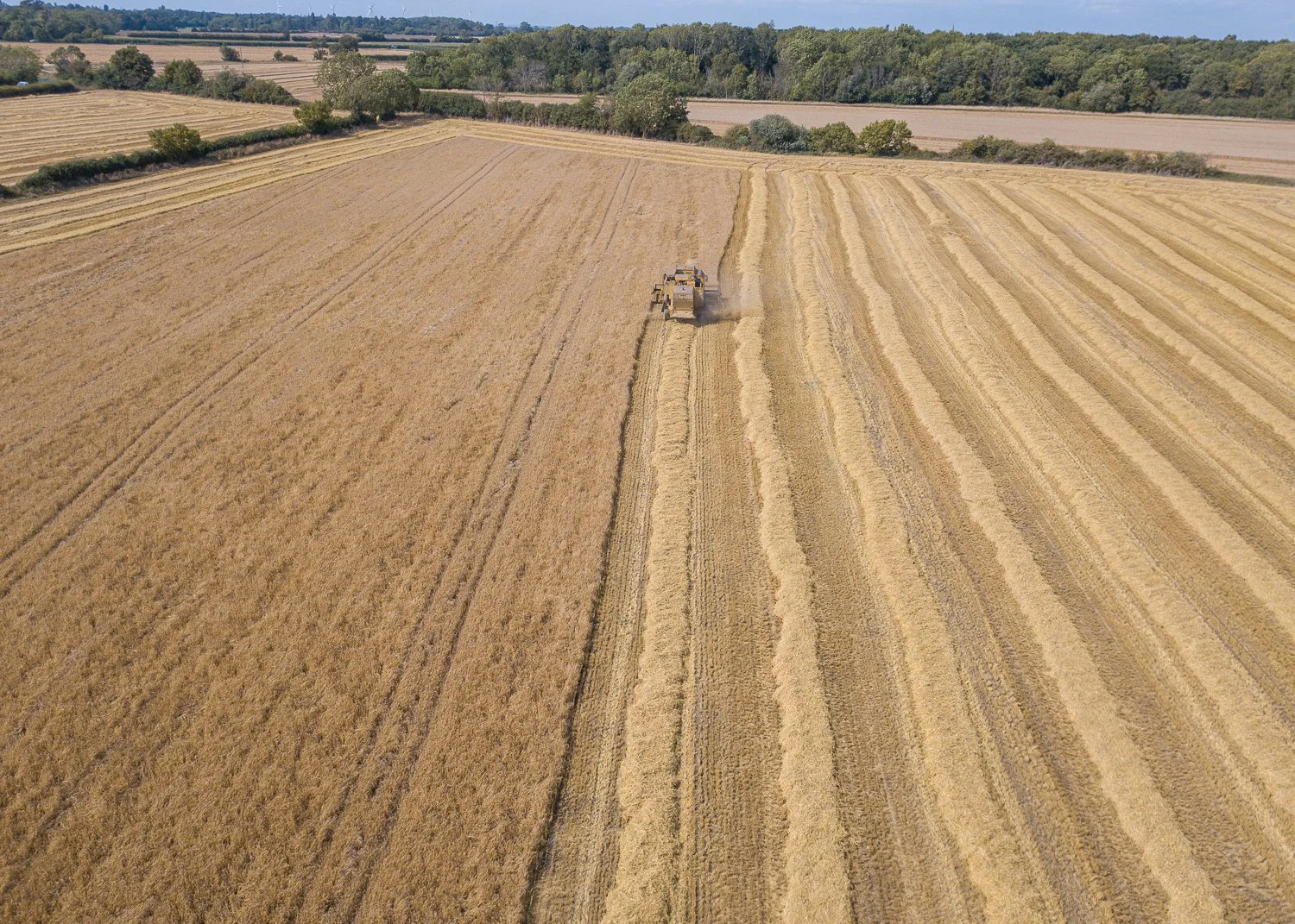 DJI_0022.jpg