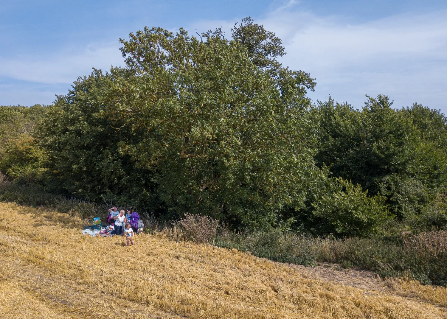 DJI_0028.jpg
