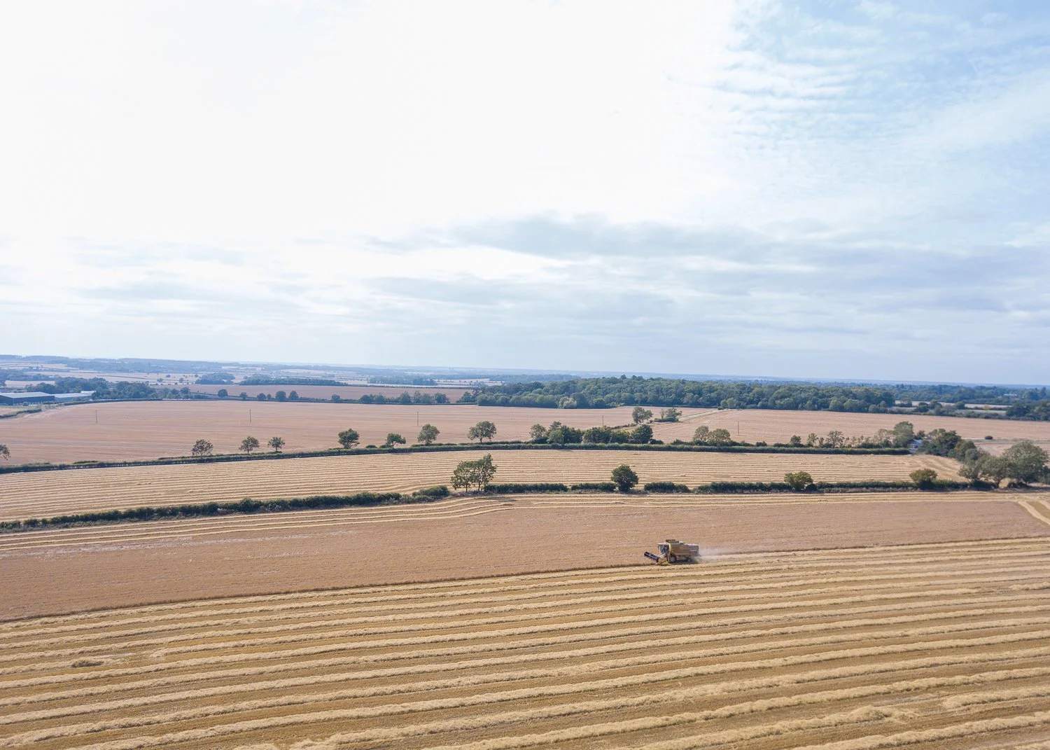 DJI_0037.jpg