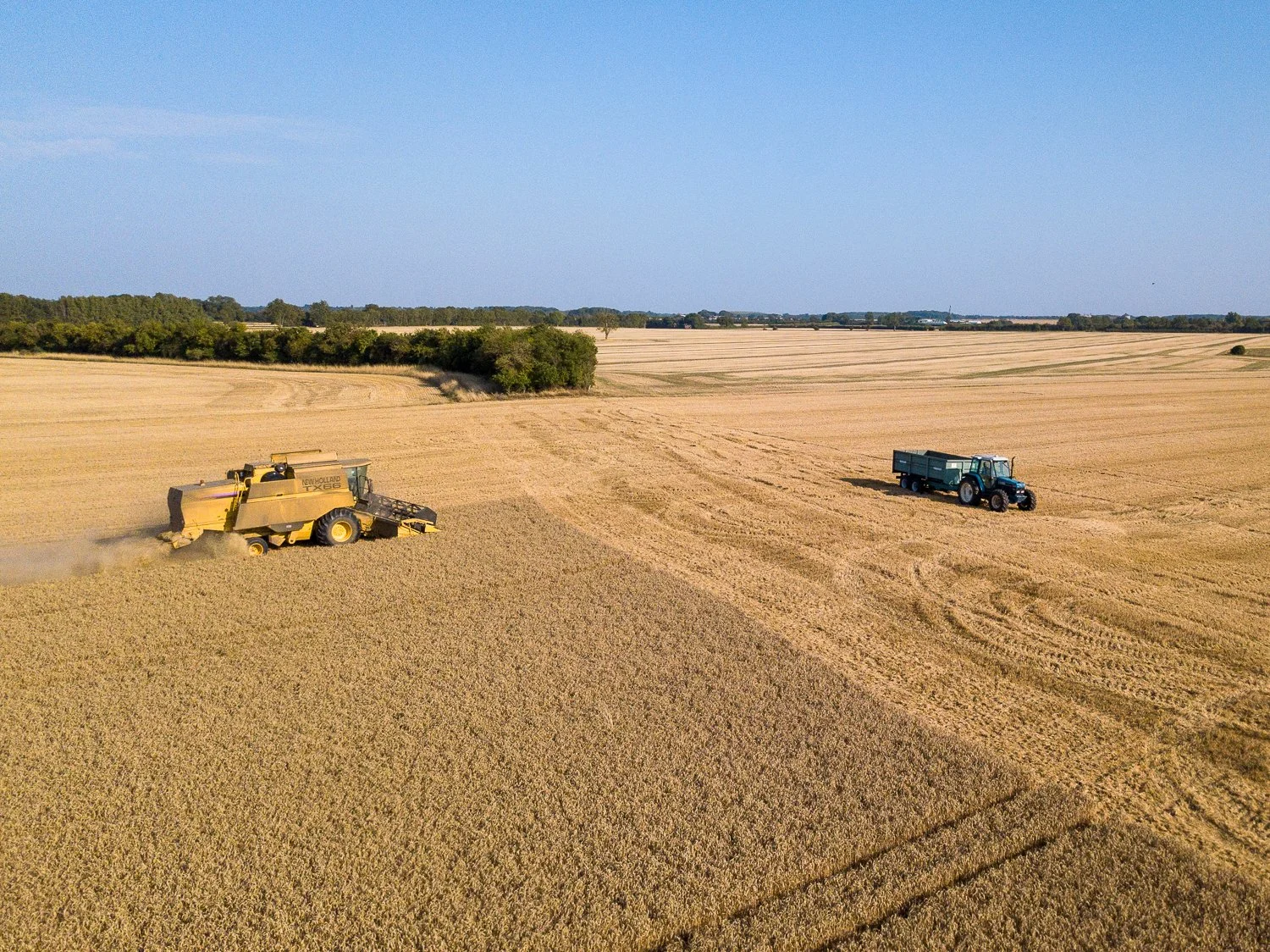 DJI_0040.jpg