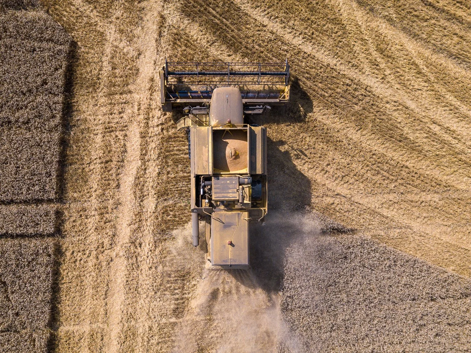 DJI_0041.jpg