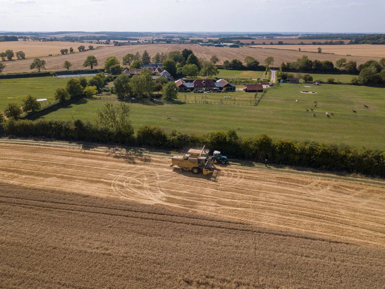 DJI_0045.jpg