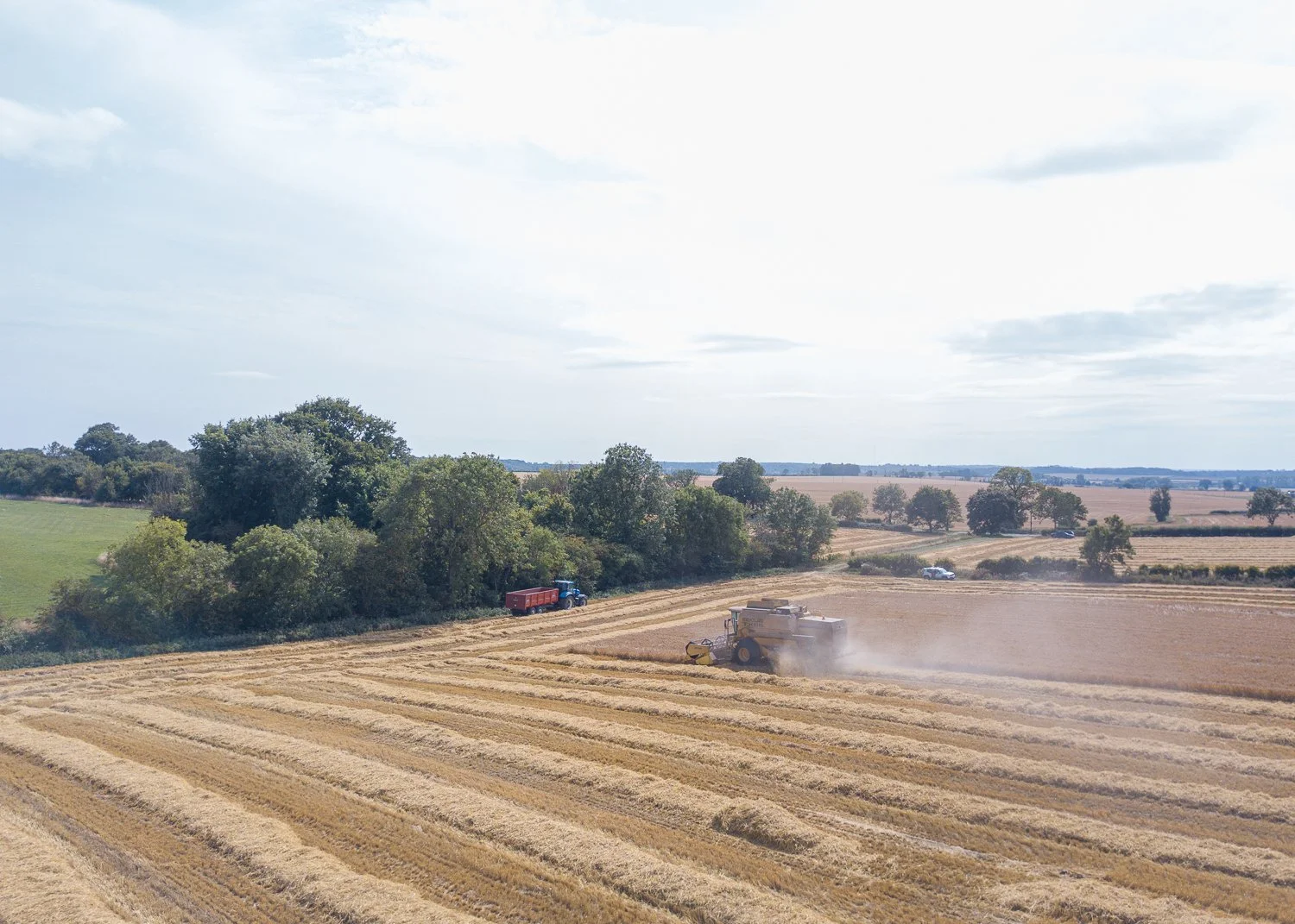 DJI_0046.jpg