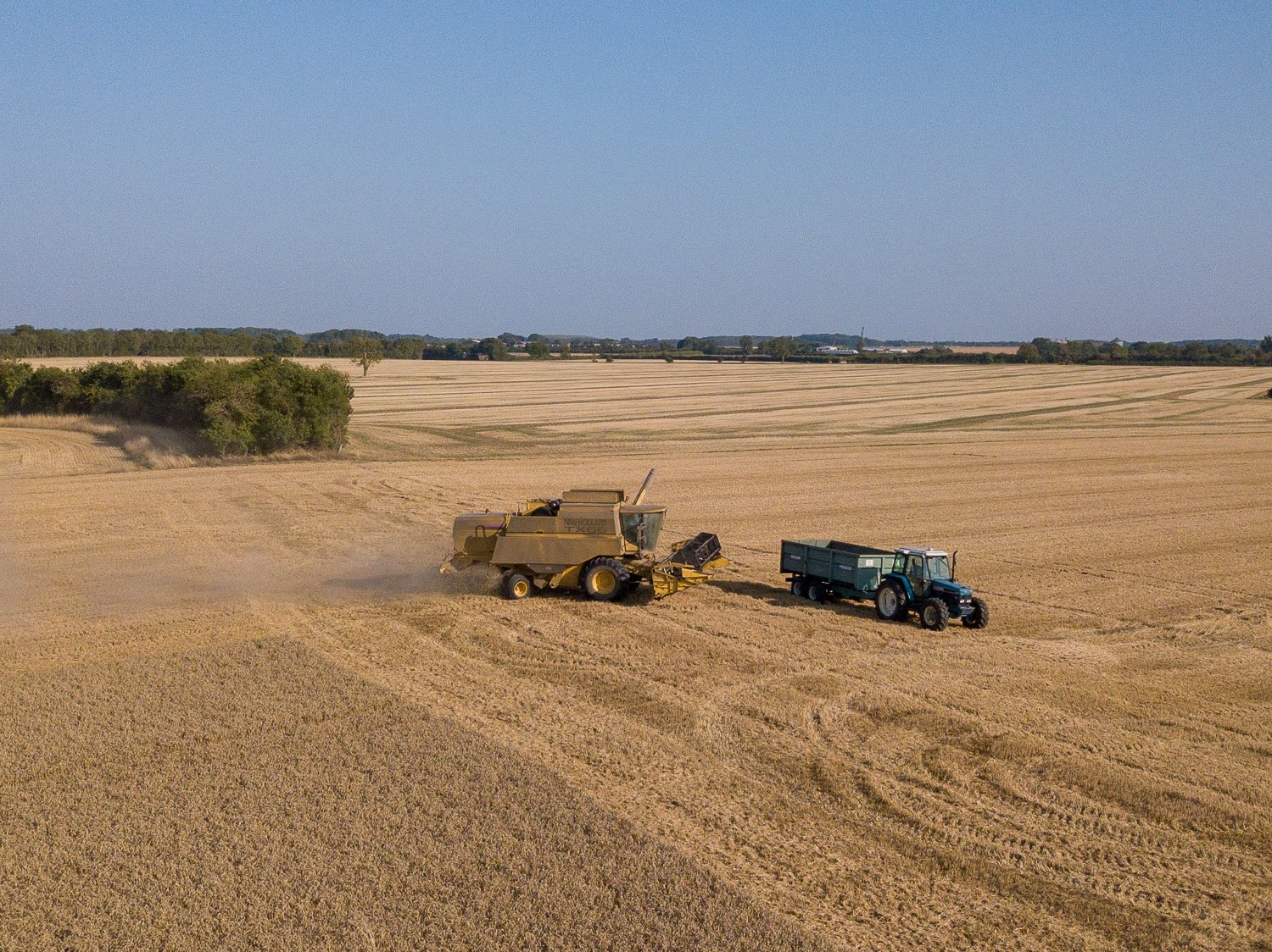 DJI_0047.jpg