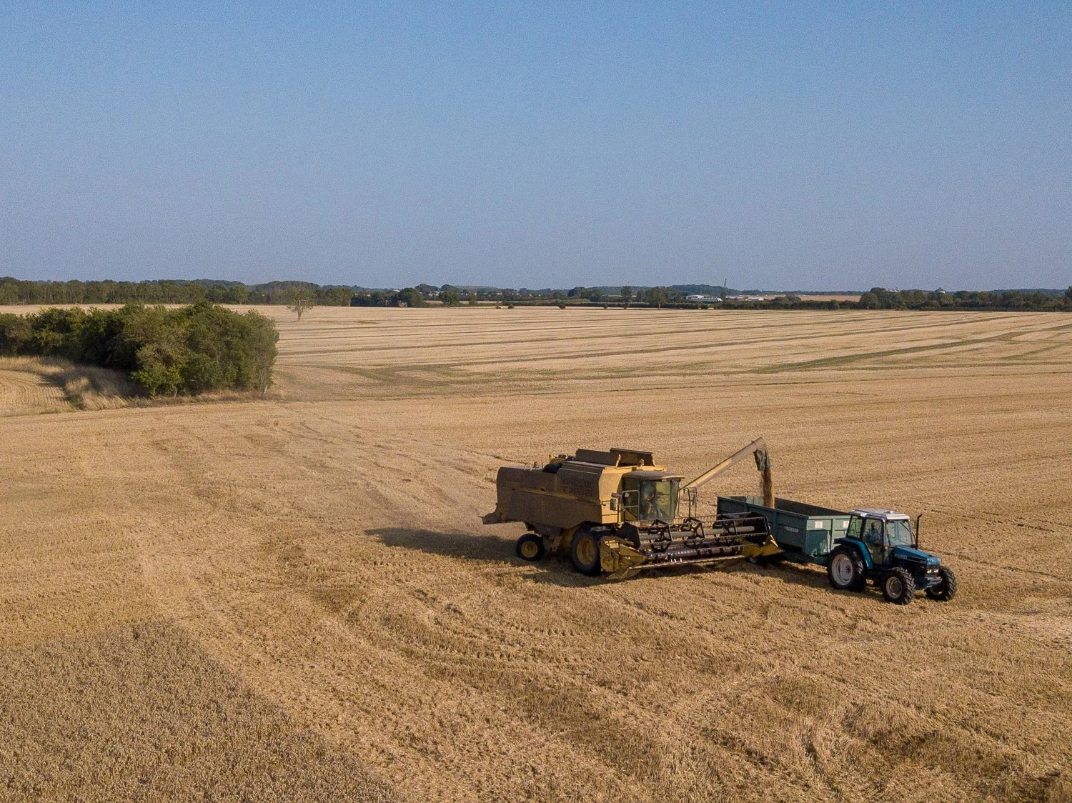 DJI_0050-2.jpg