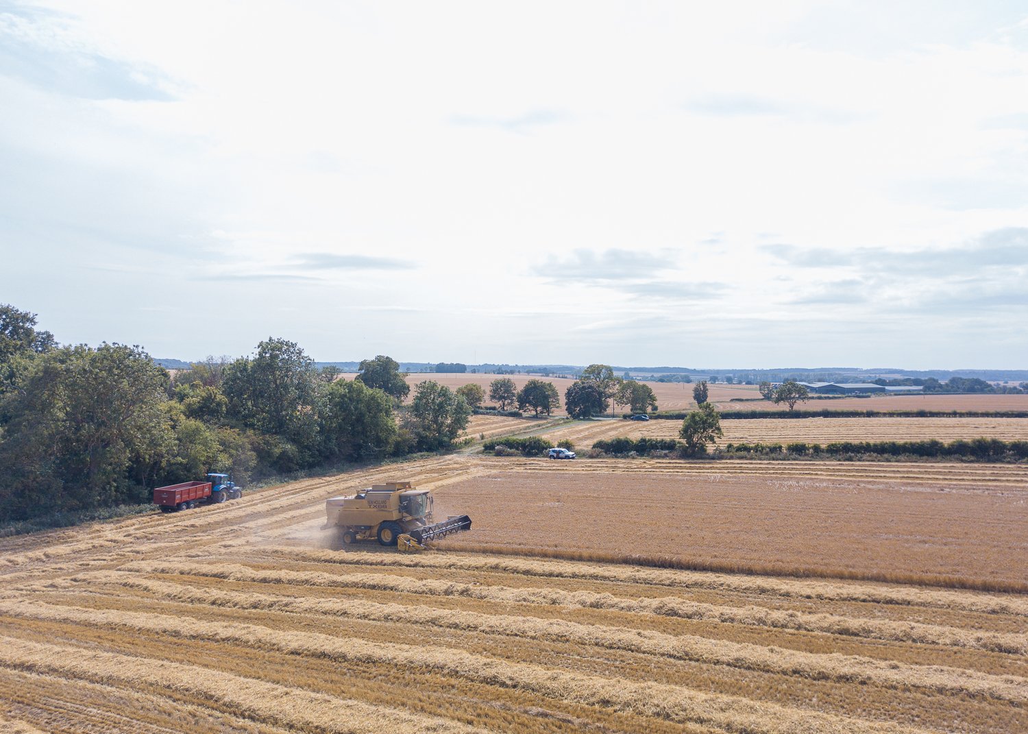 DJI_0052.jpg