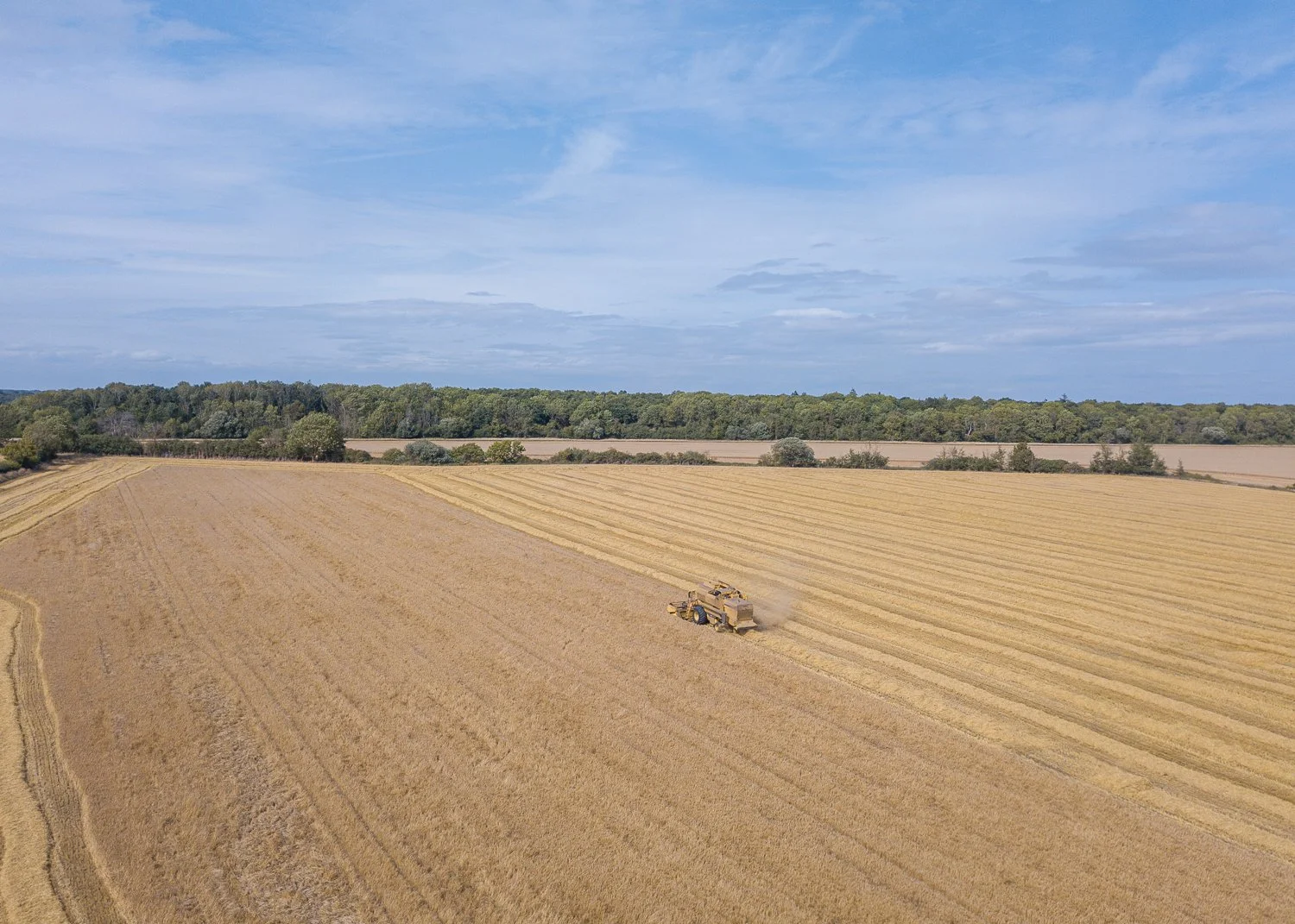 DJI_0054.jpg