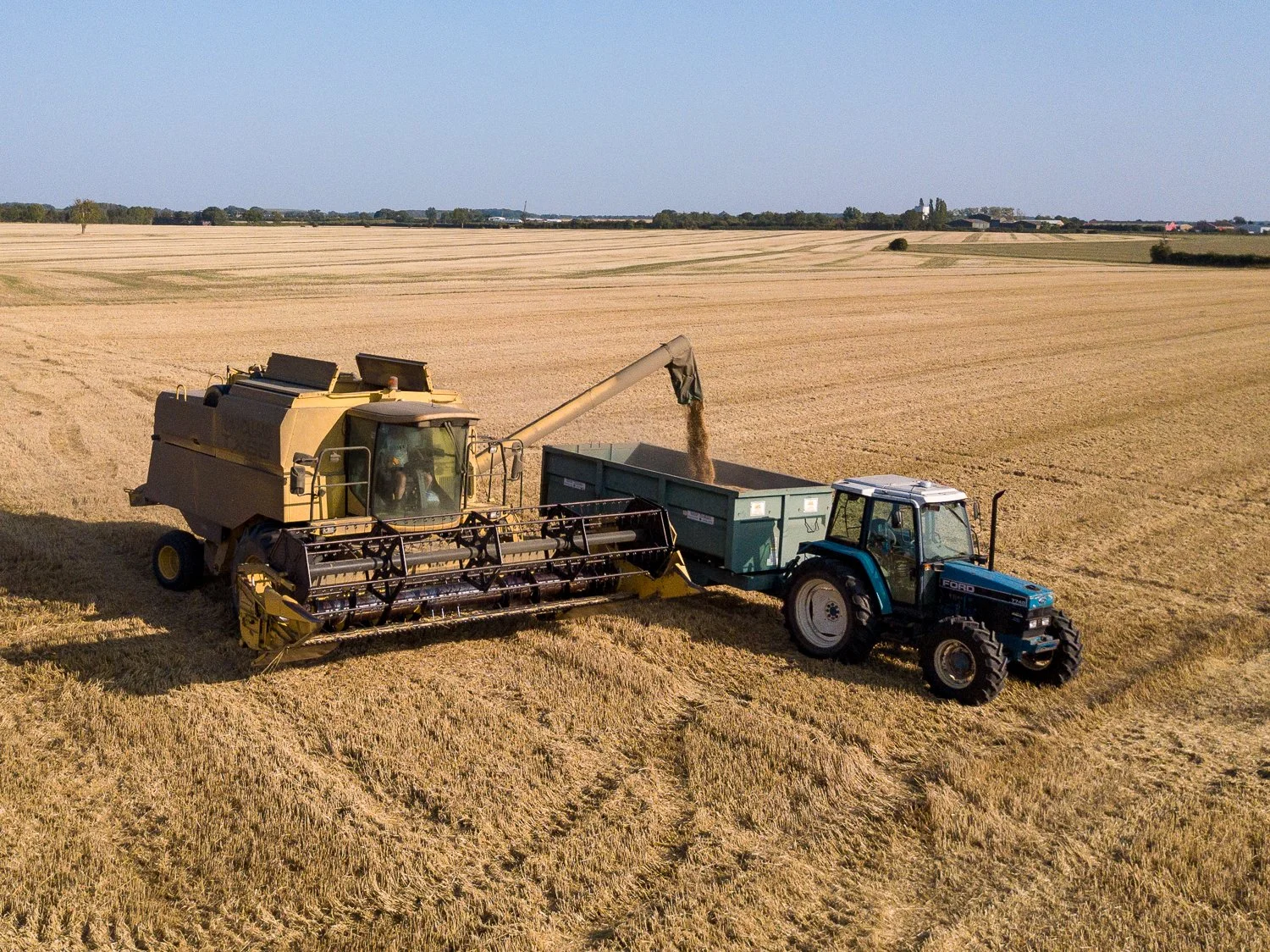 DJI_0056-2.jpg
