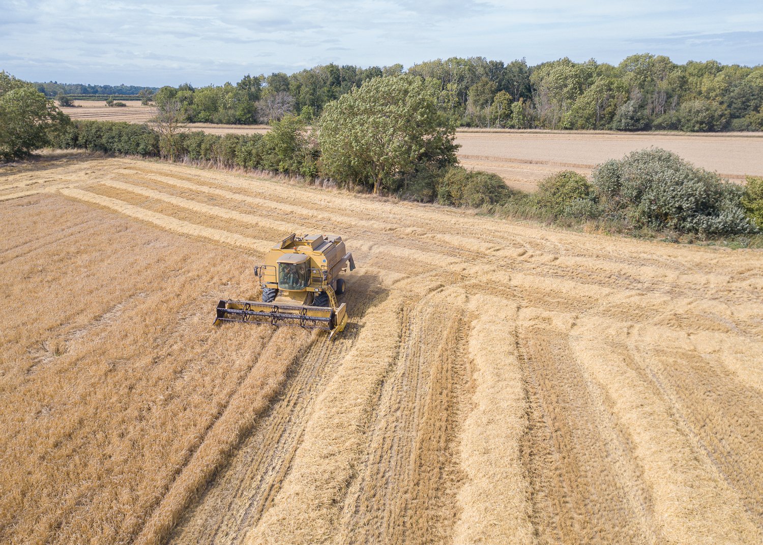 DJI_0066.jpg