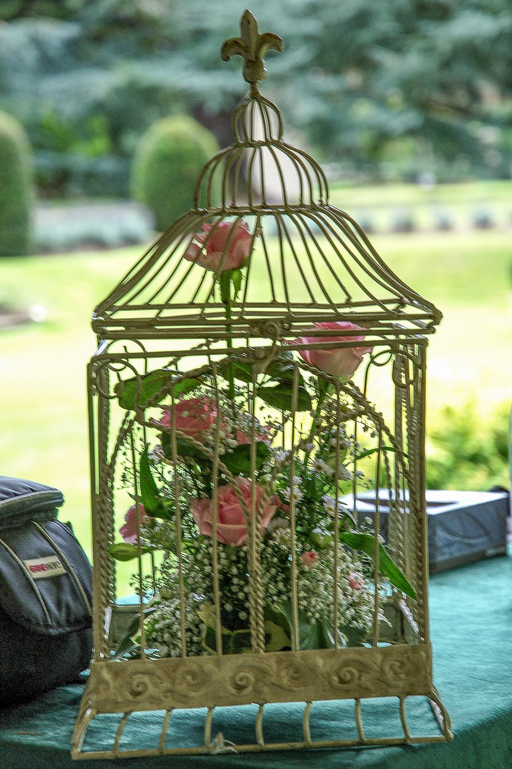 DSC_0005 edit.jpg (Copy)