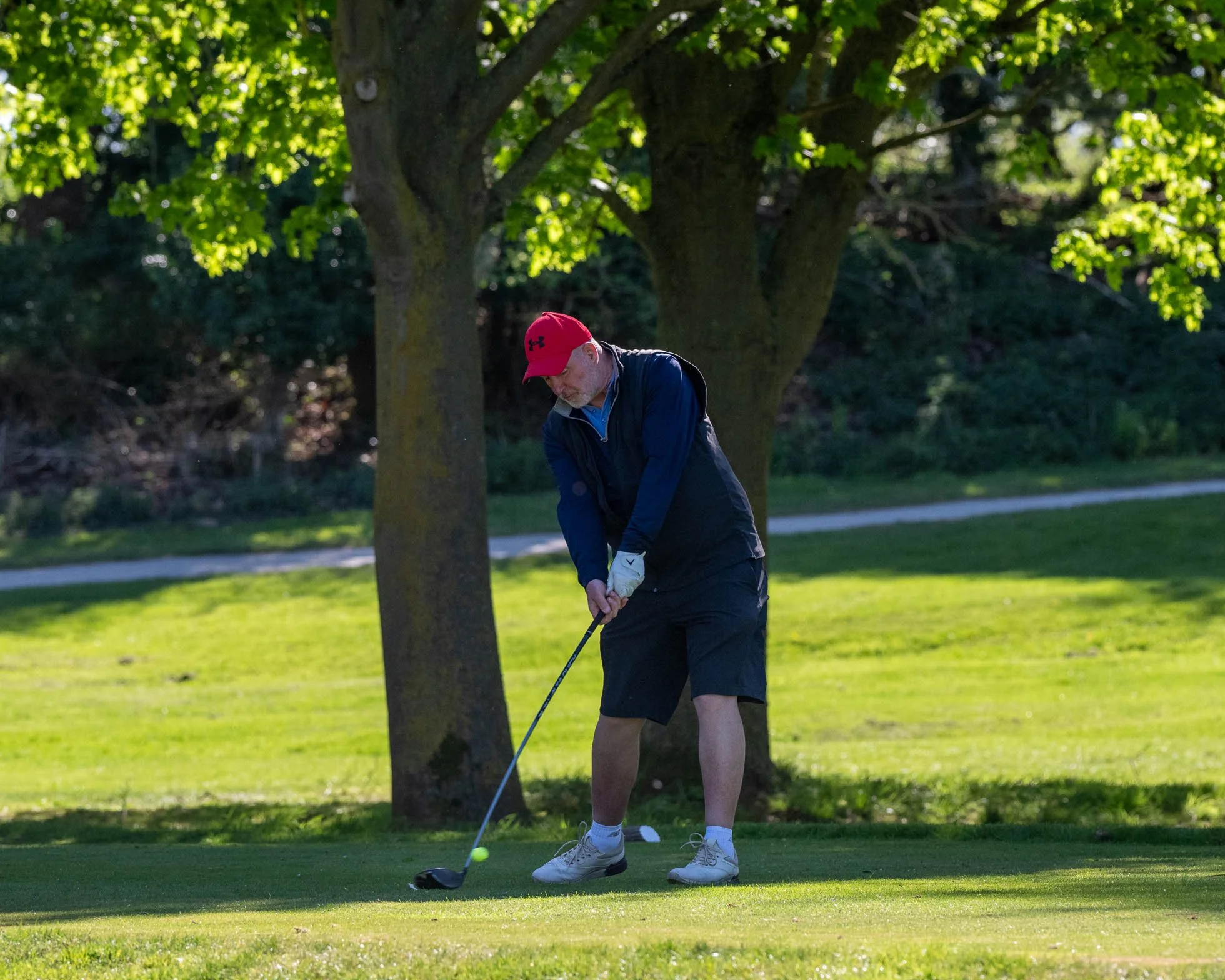 DSC_0132.jpg