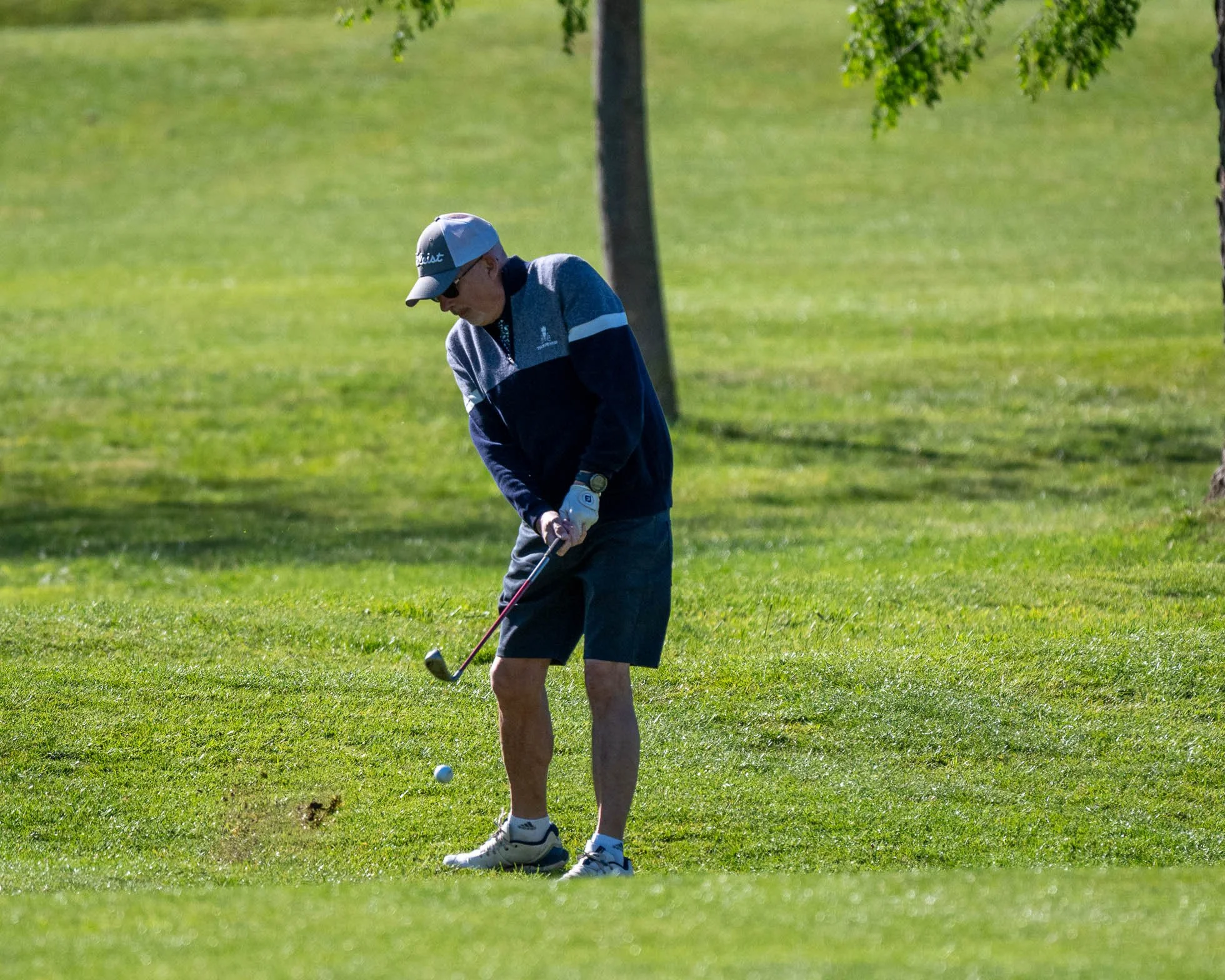 DSC_9515.jpg