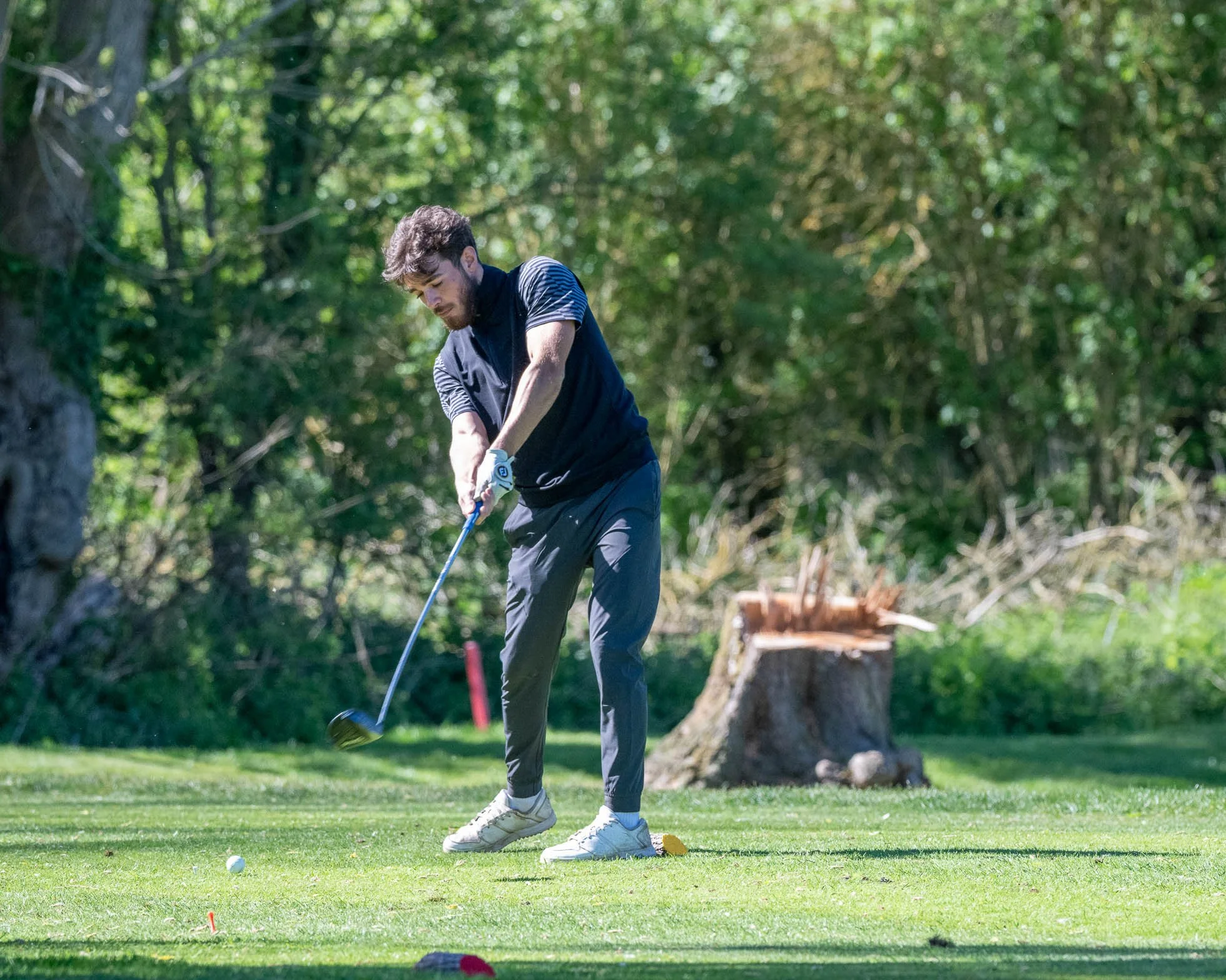 DSC_0785.jpg