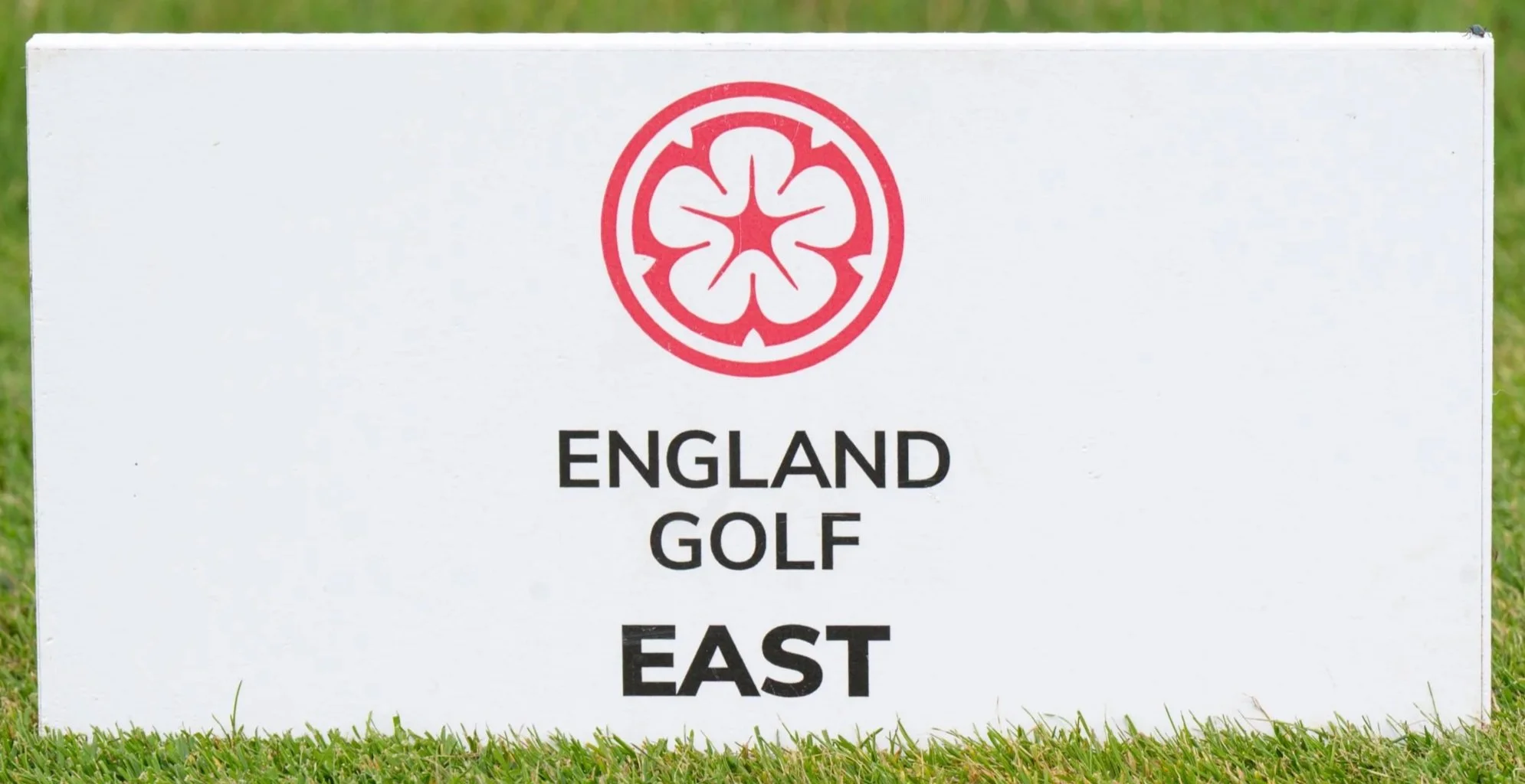 EG - -6818.jpg