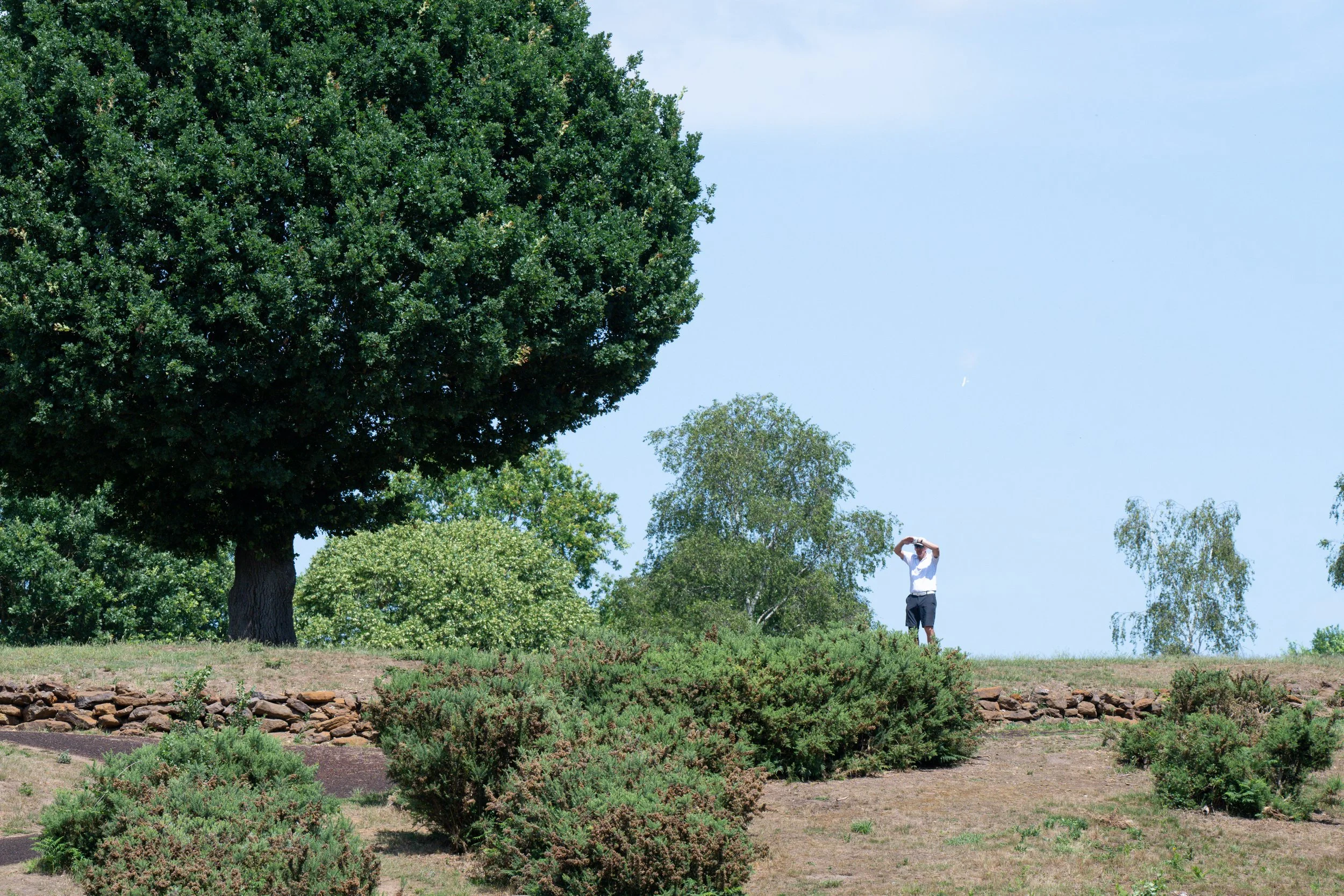 JOGCD - -1217.jpg