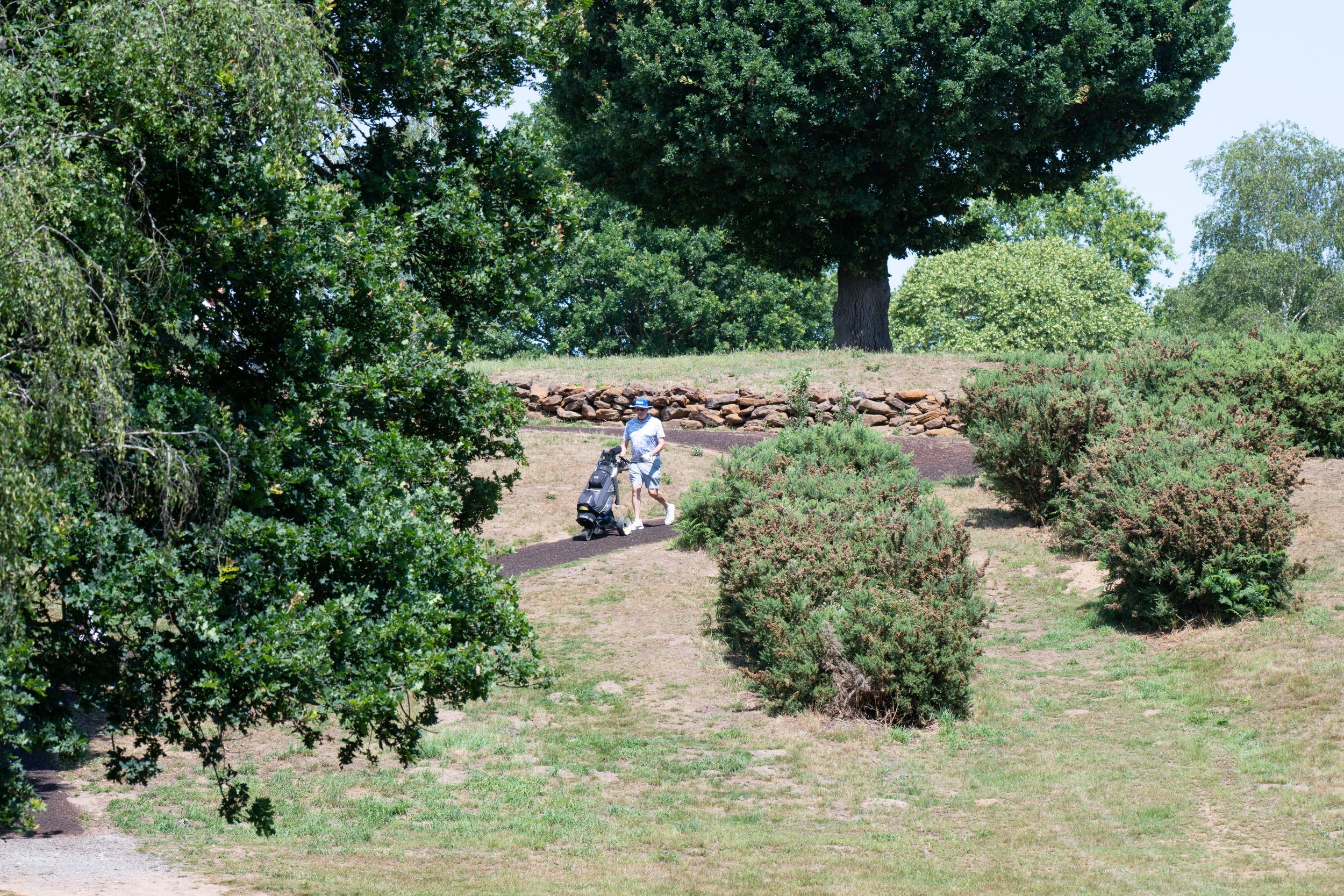 JOGCD - -1220.jpg