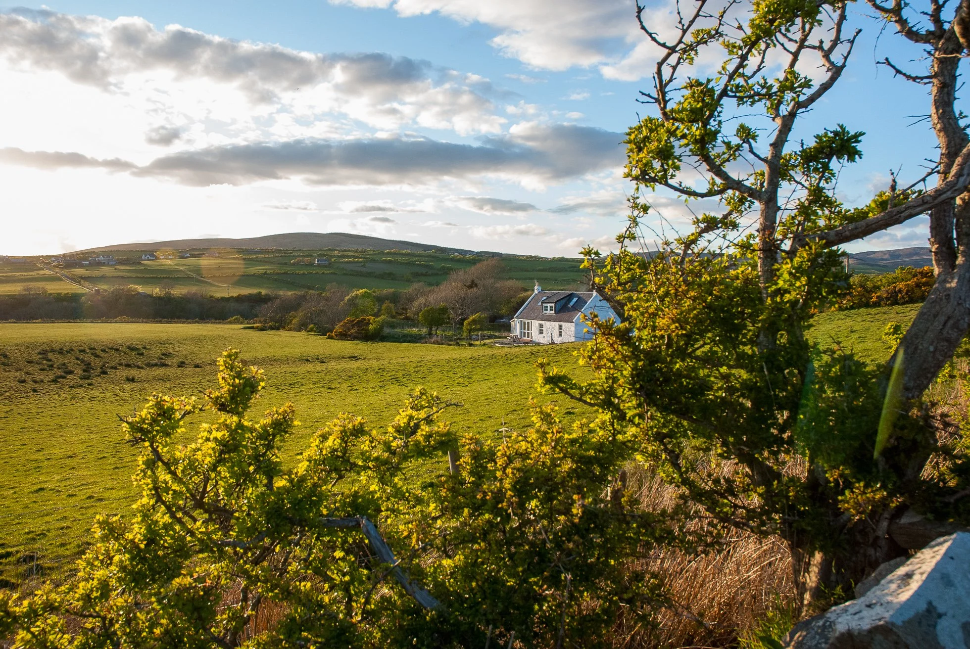 2010-05-10 20-18-58 - DSC_0110.jpg