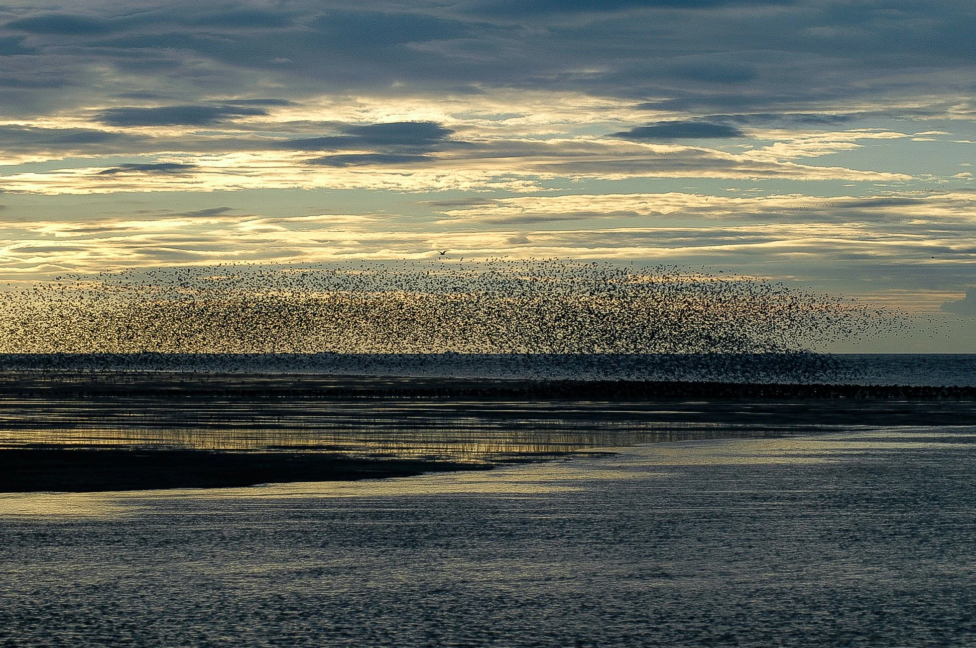 2005-09-17 170834.jpg