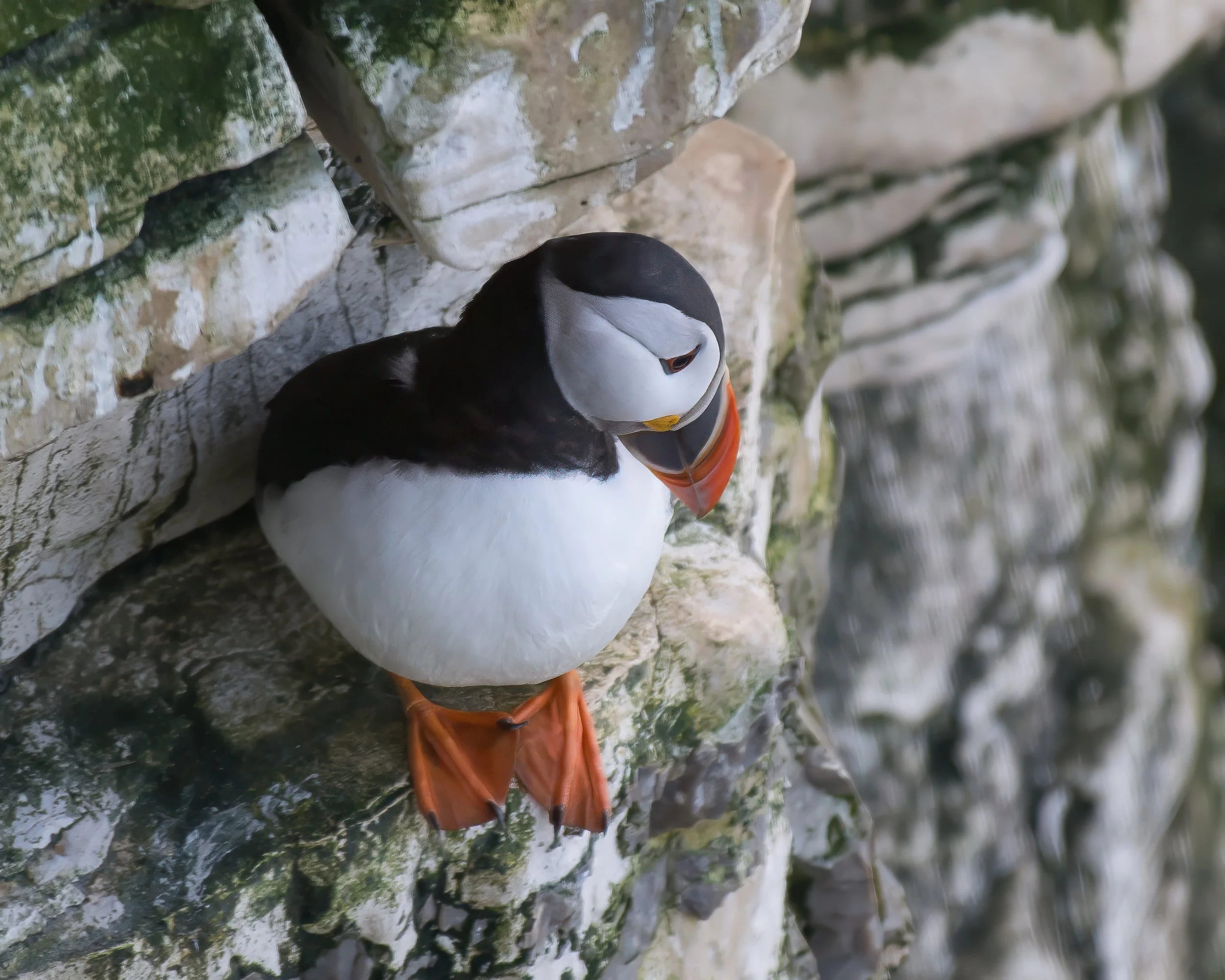 JAN_3410-Edit (1).jpg