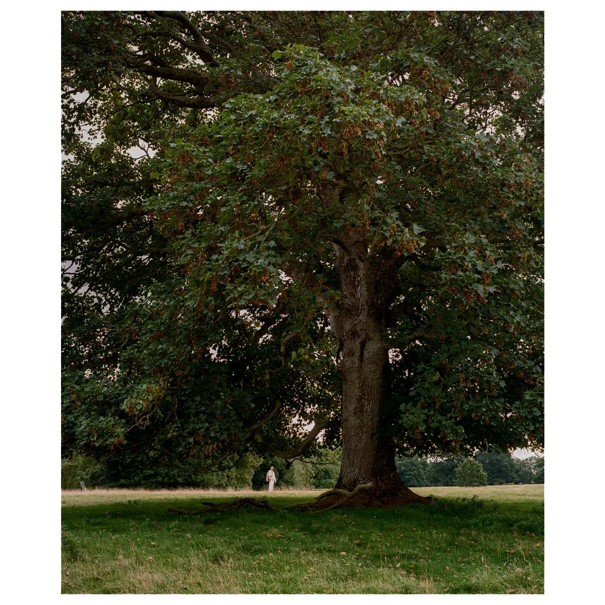 44-frame.jpg