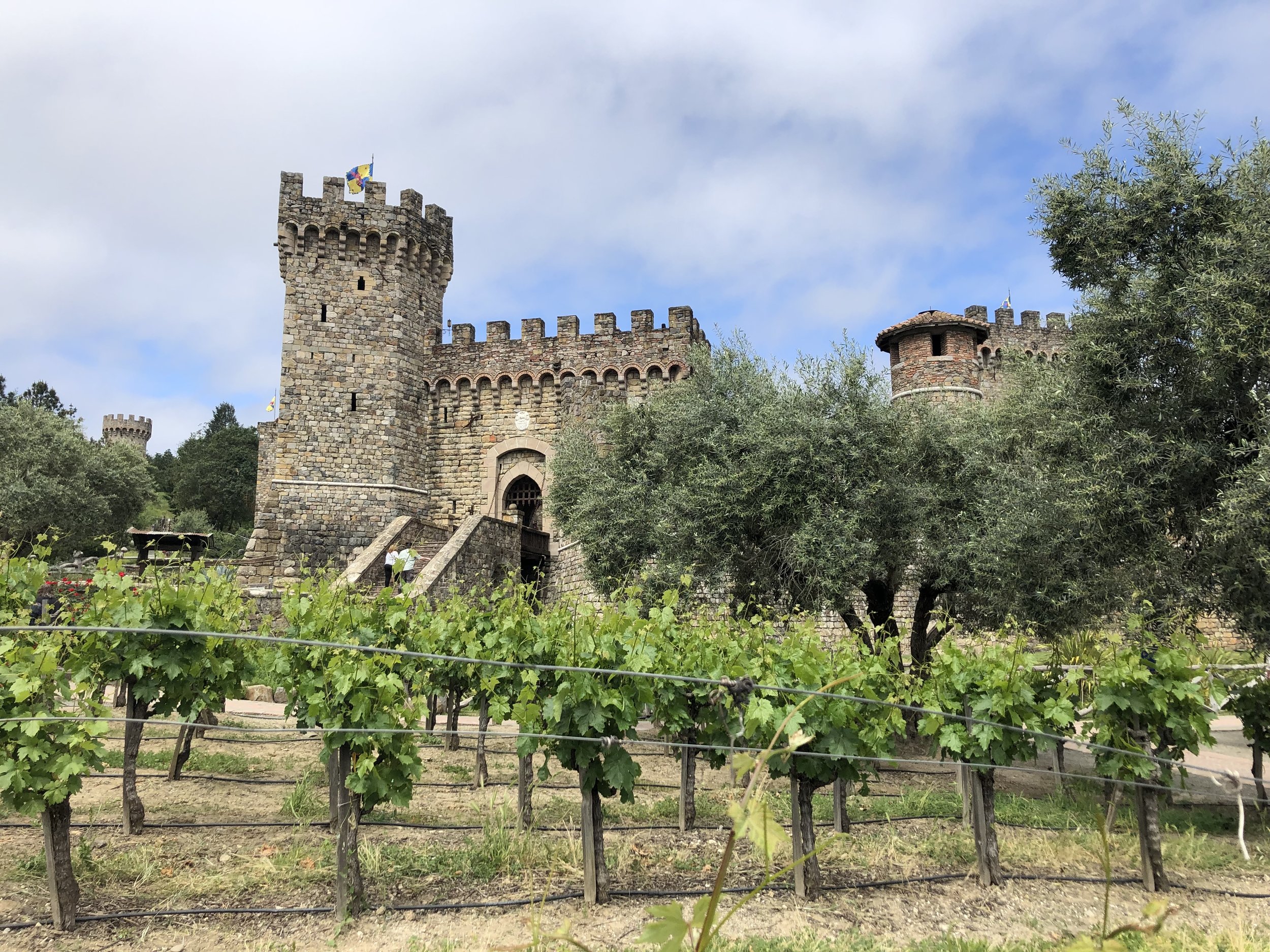 castello di amorosa wine — LikeRing