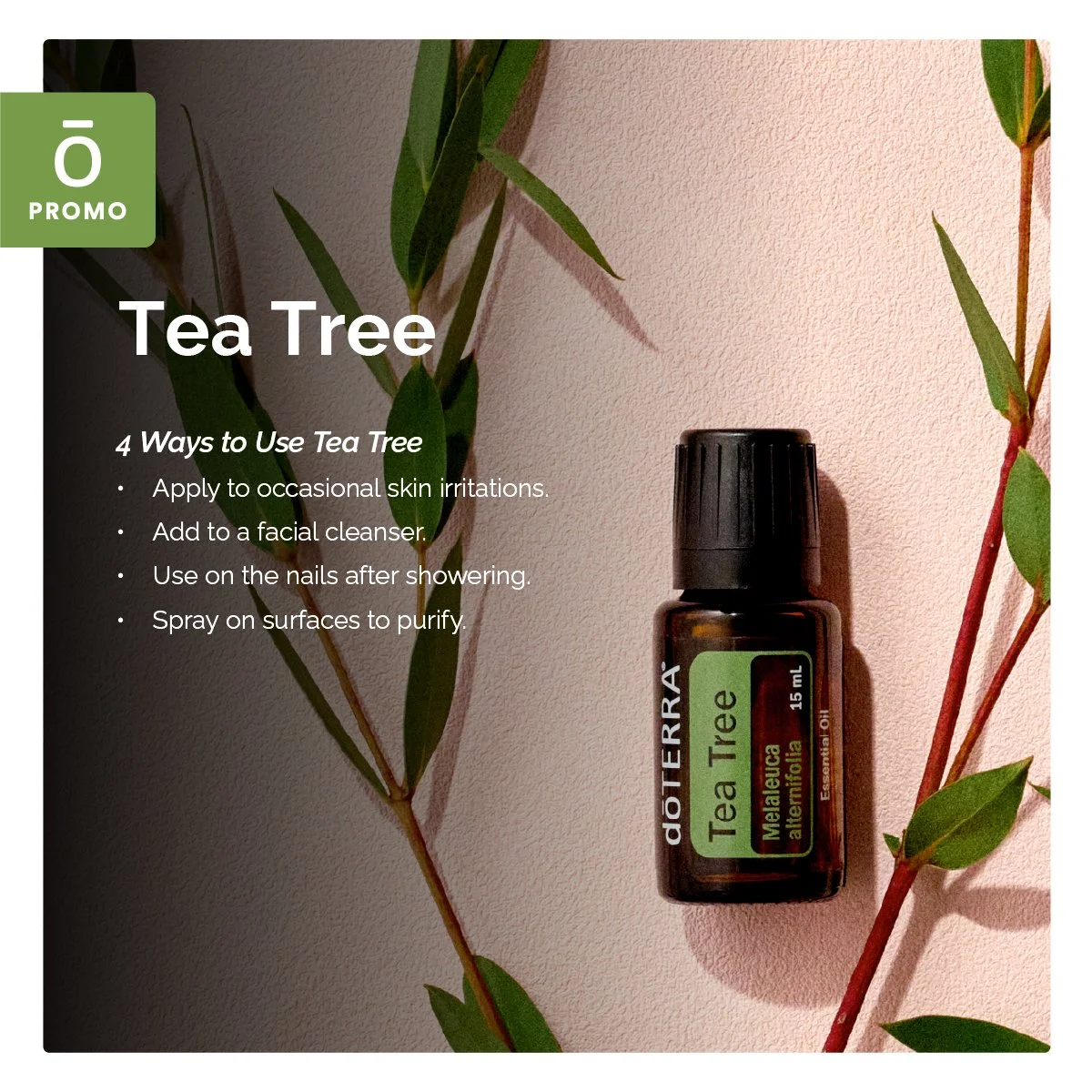 Tea Tree 15 mL-Essential Oils-Promo-Social Media-US-English-Educational-Post.jpg