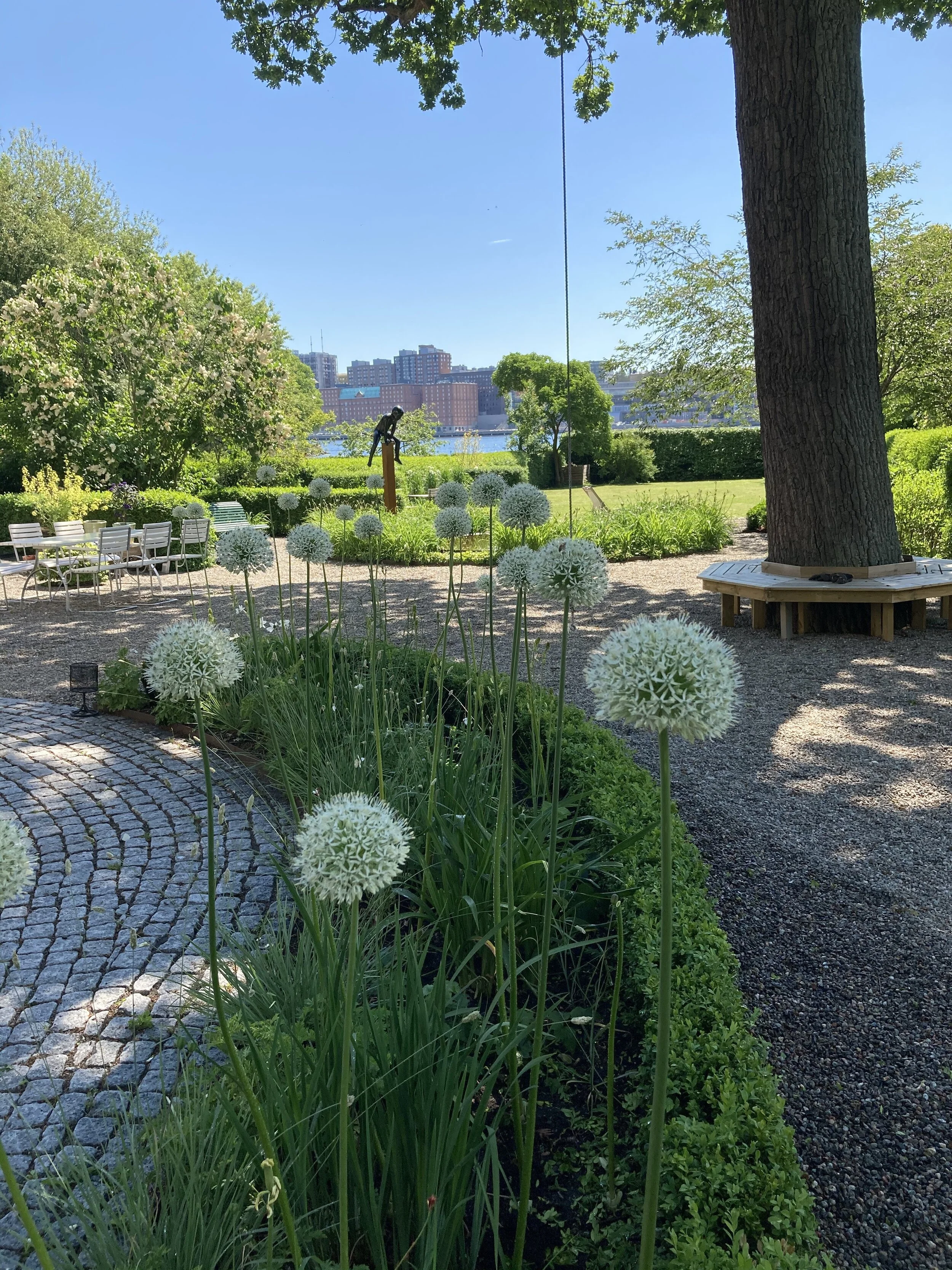 IMG_0641.jpeg