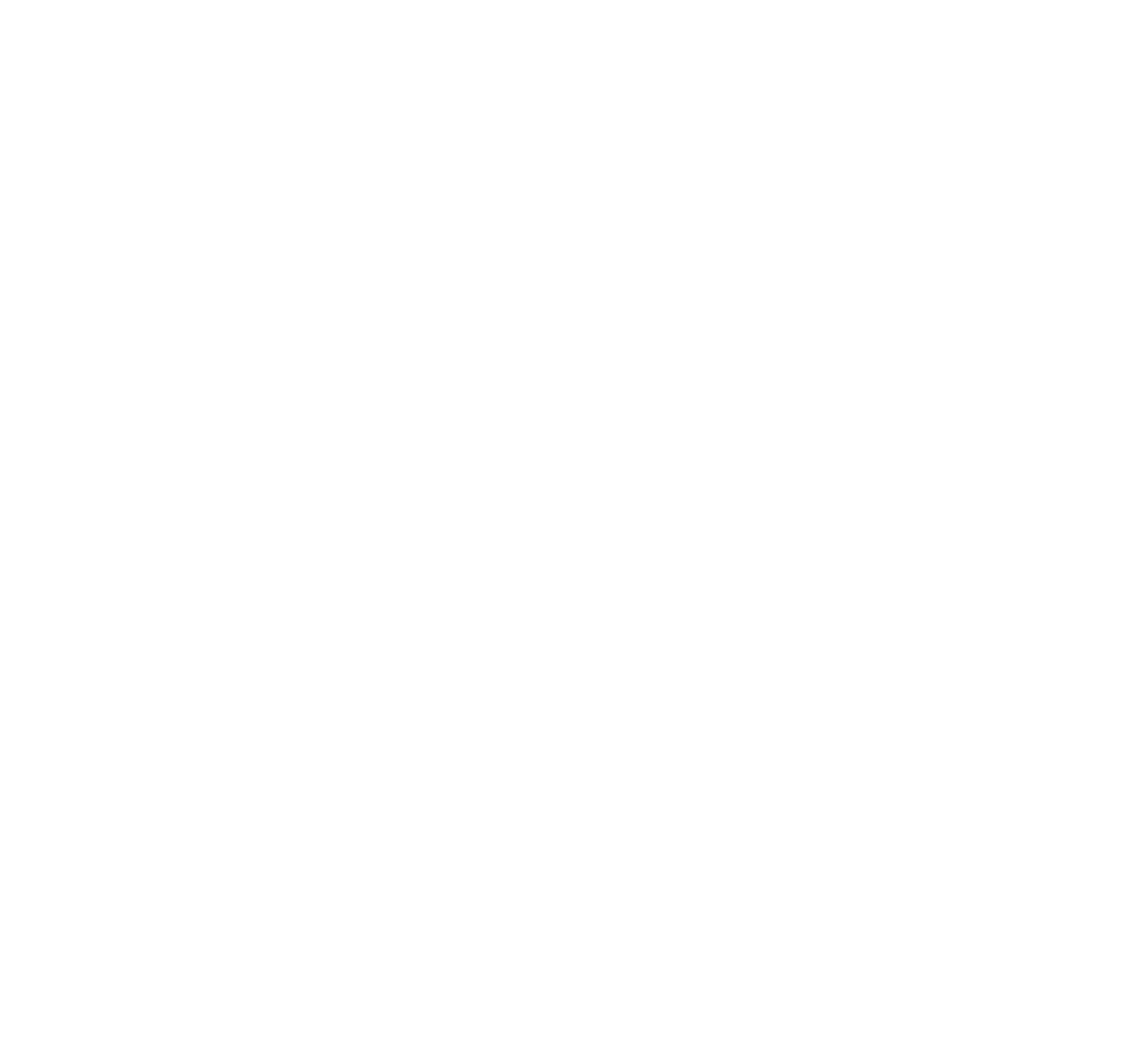 NittyStrong - Live In The Moment
