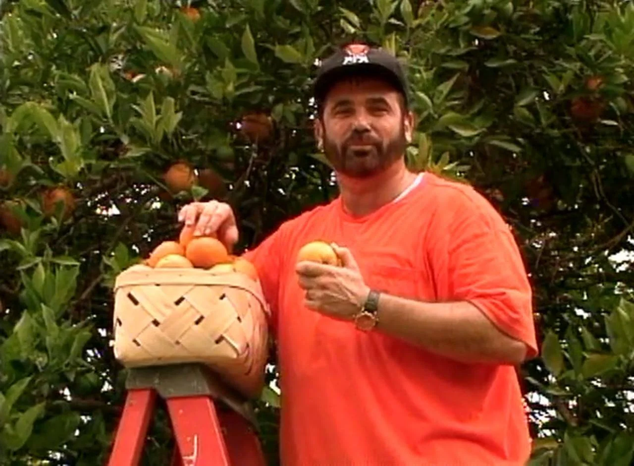 BMM Orange Tree.jpg