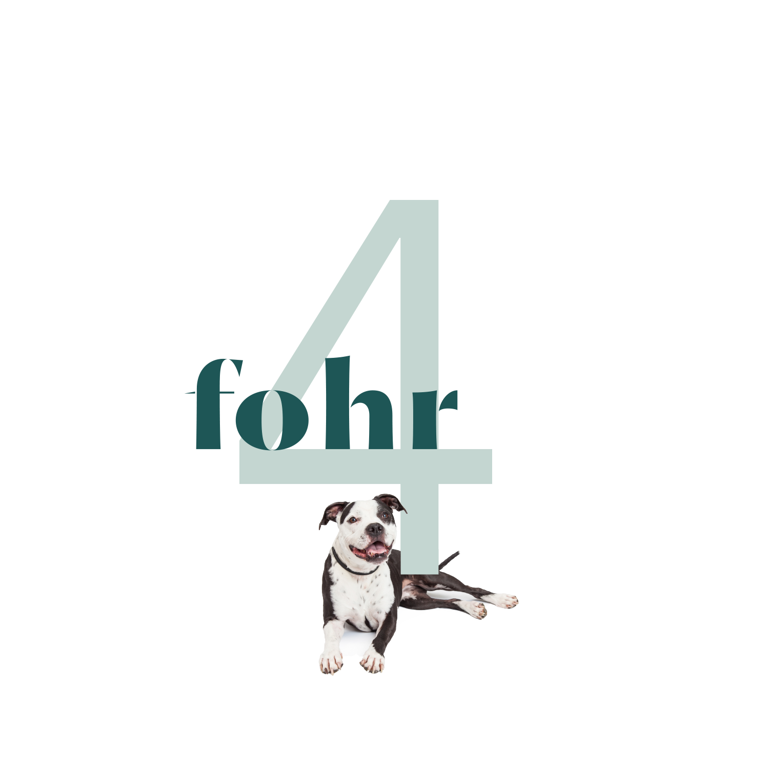 adoptabull 3.png