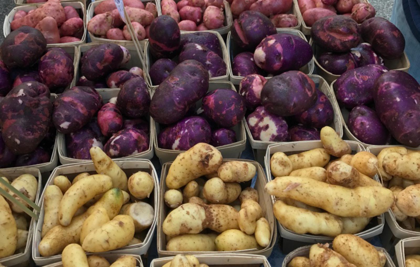 local-potatoes.jpg