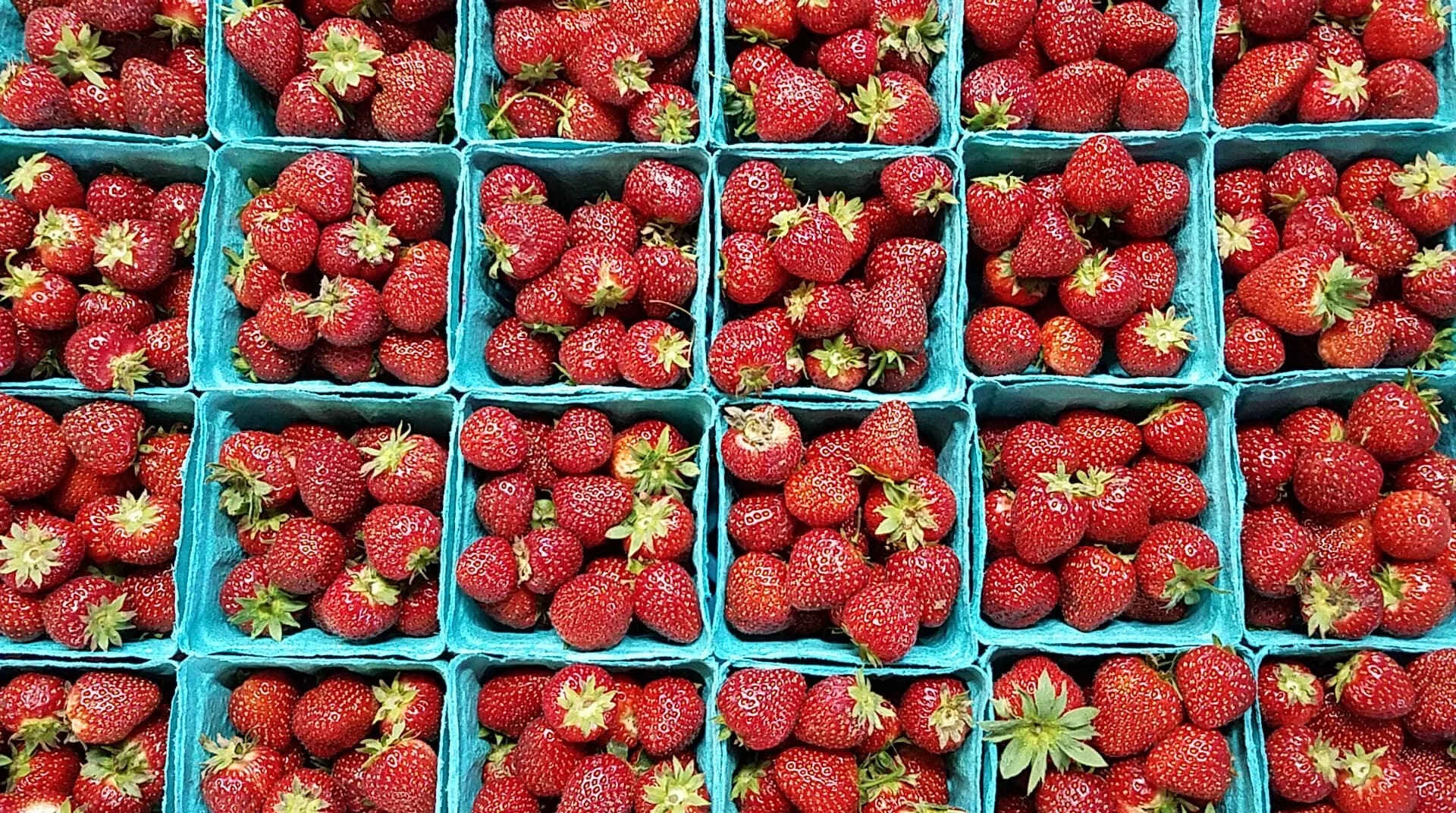Pittsburgh CSA Farm Market.jpeg