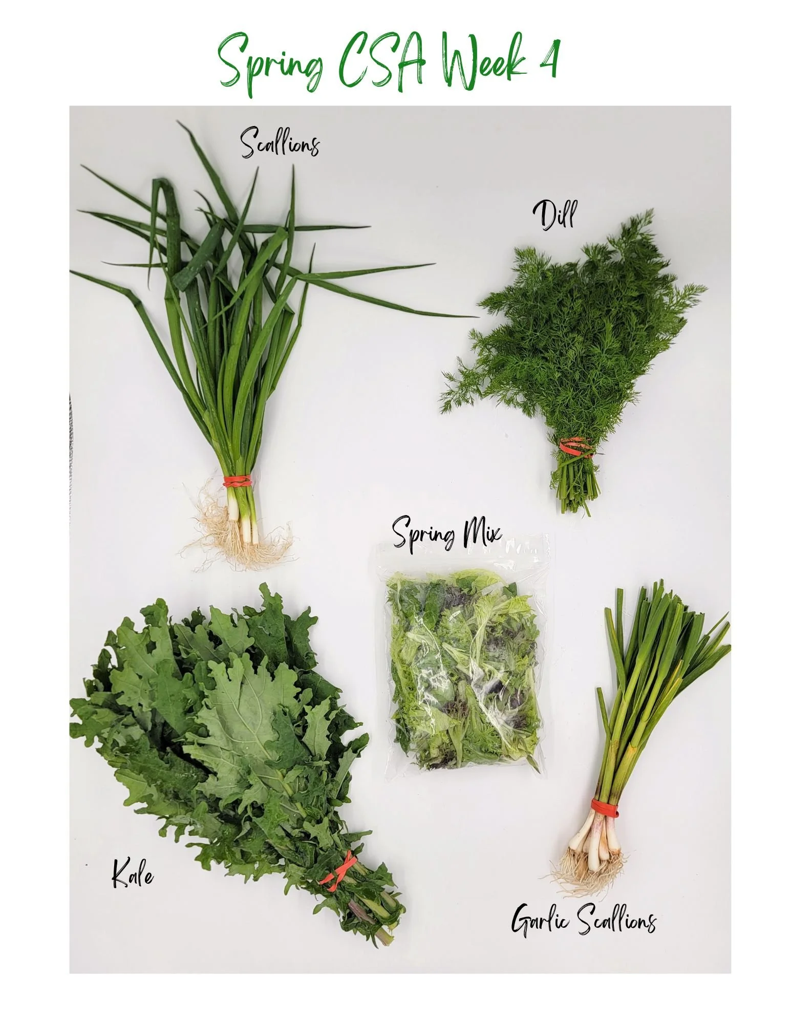 Past CSA Share Photos — Who Cooks For You Farm