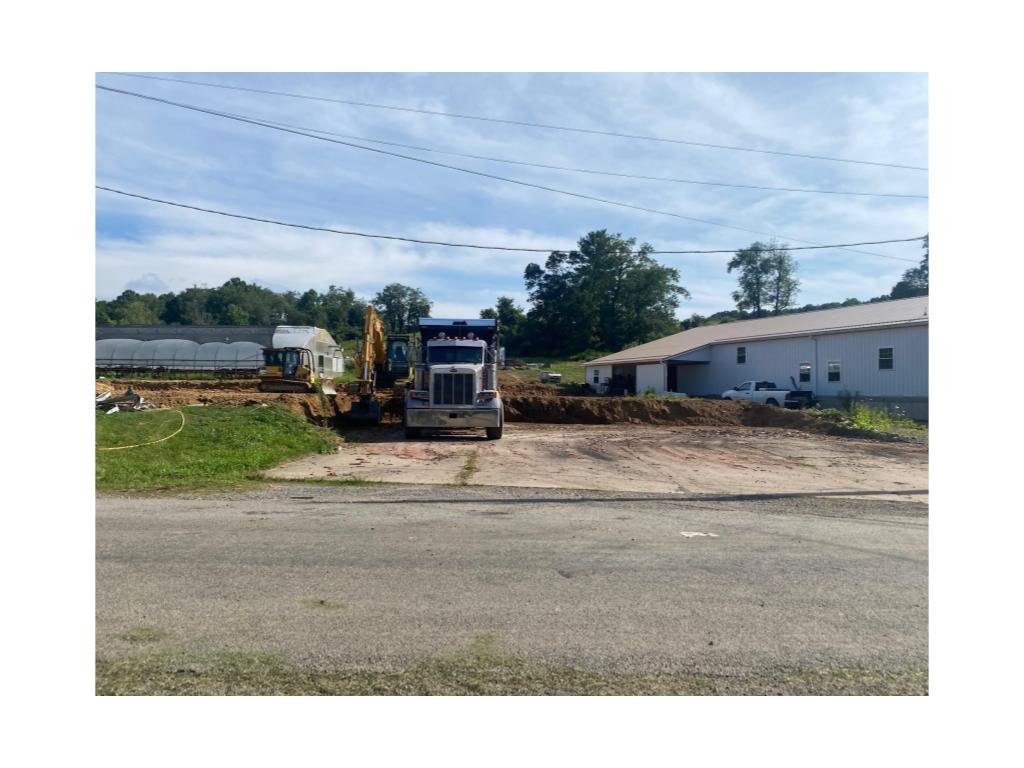 Summer 2025 CSA Newsletter - July 15, 2025 (Week 8)