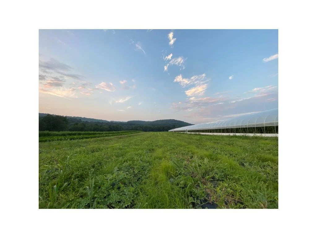 Summer 2025 CSA Newsletter - August 12, 2025 (Week 12)